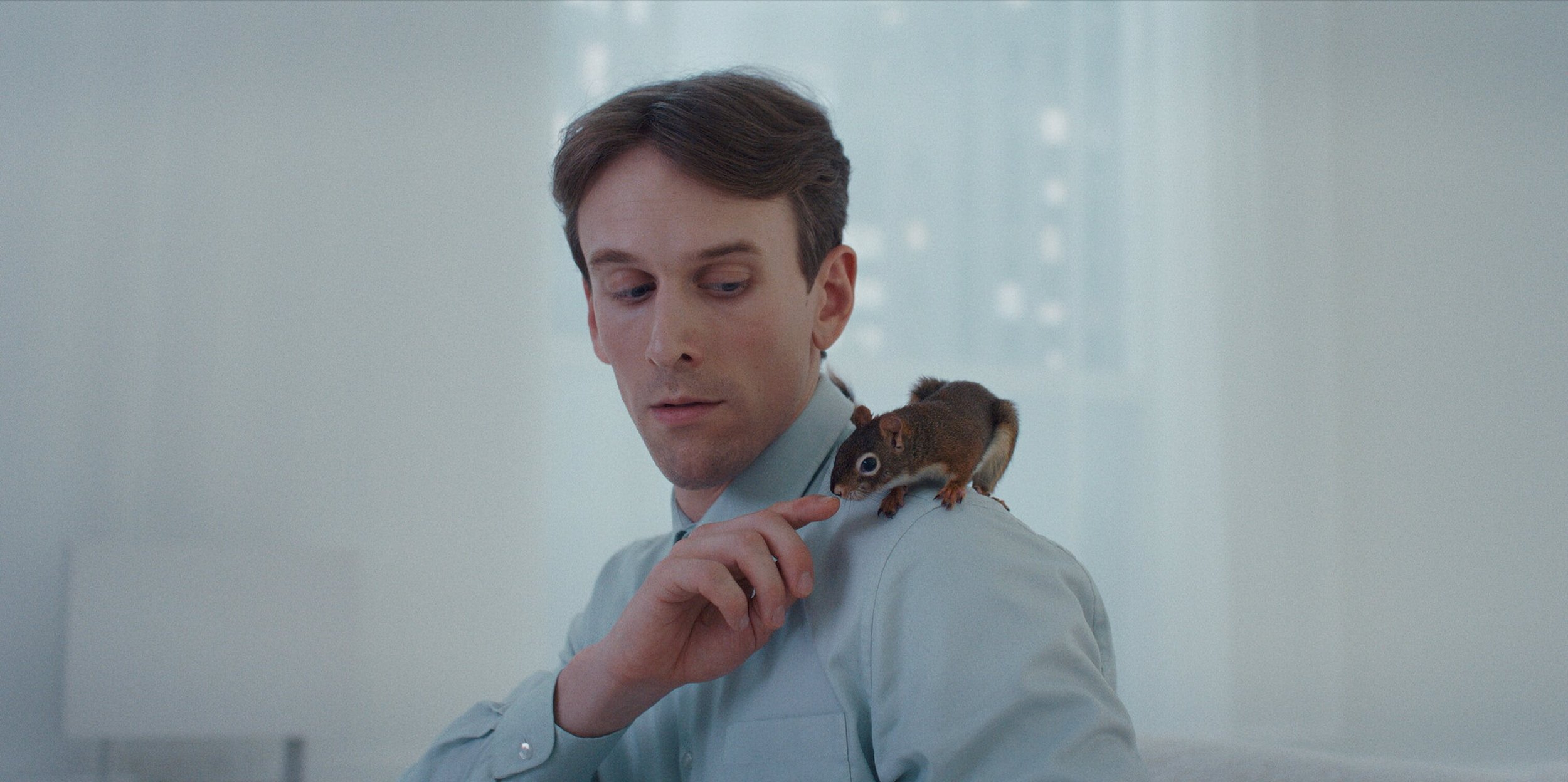 The Squirrel