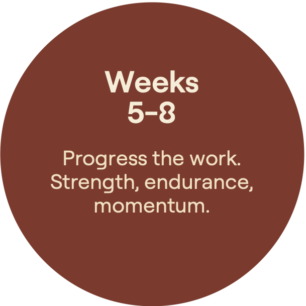 Weeks5-8. Progress the work. Strength, endurance, momentum.