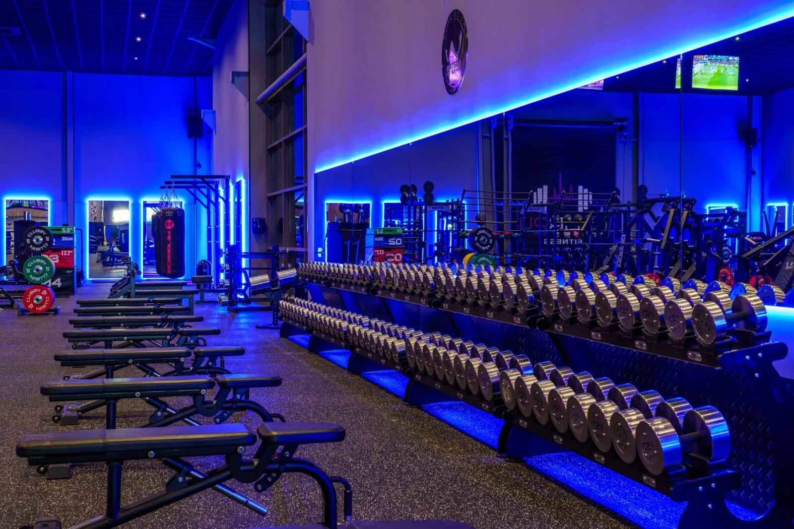 A modern gym with blue accent lighting, featuring rows of dumbbells, weight plates, and workout benches.