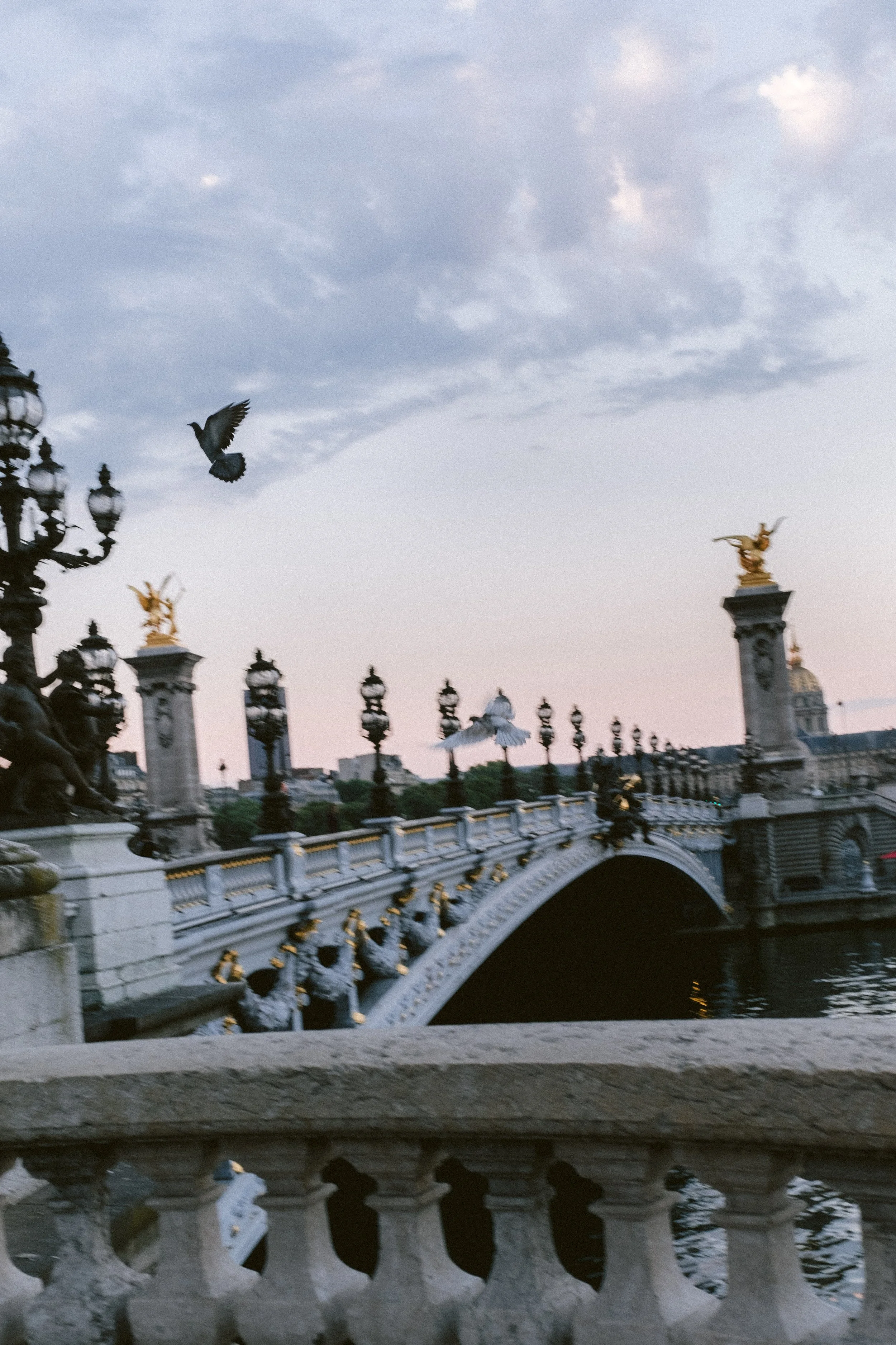 Alina Sepp_New Day Ahead.jpg