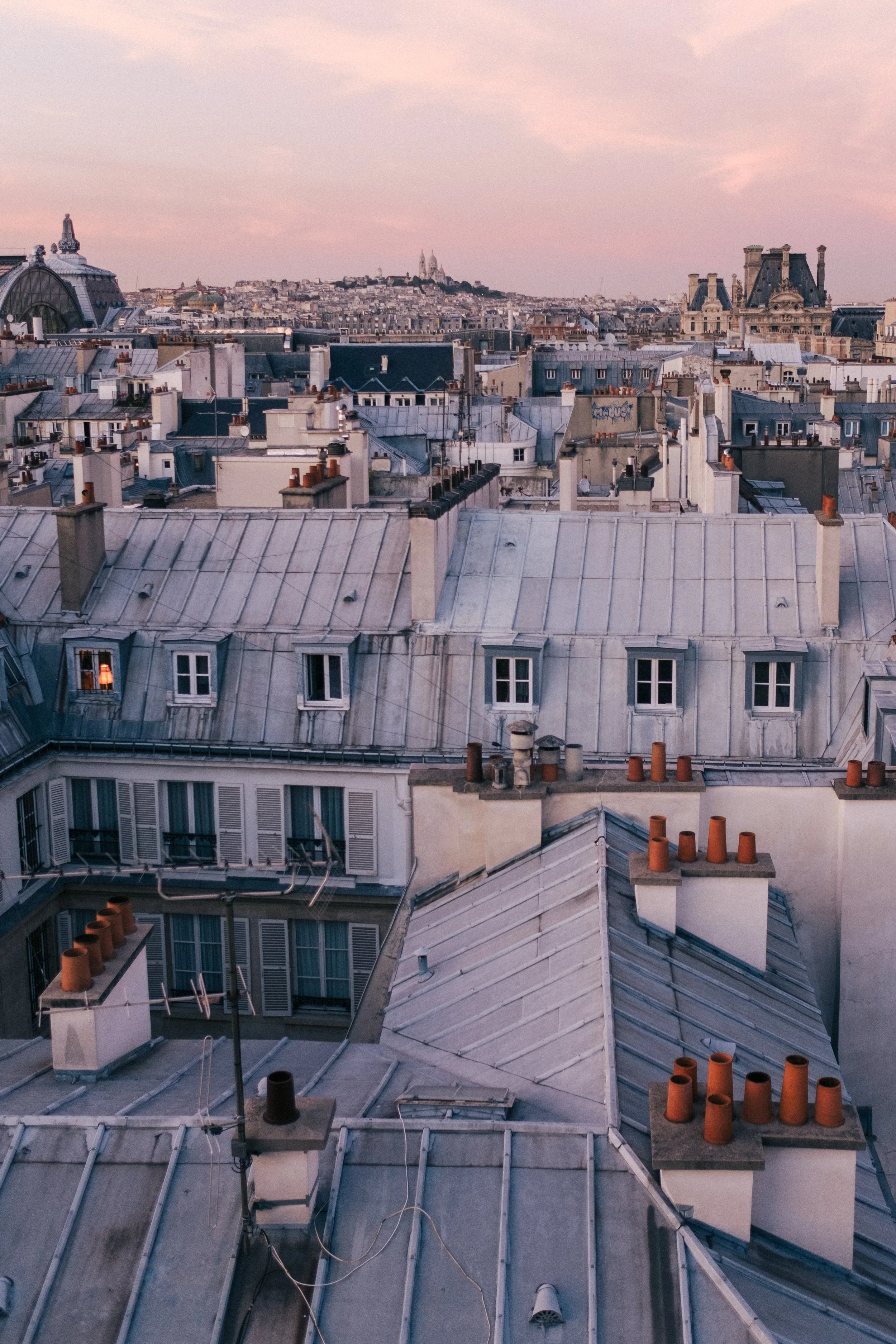 Alina Sepp_Les toits de Paris.jpg