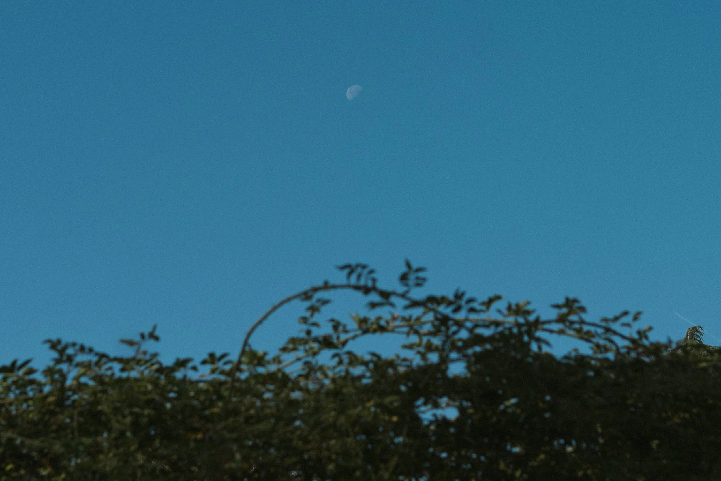 Alina Sepp_Uncertain_6.jpg