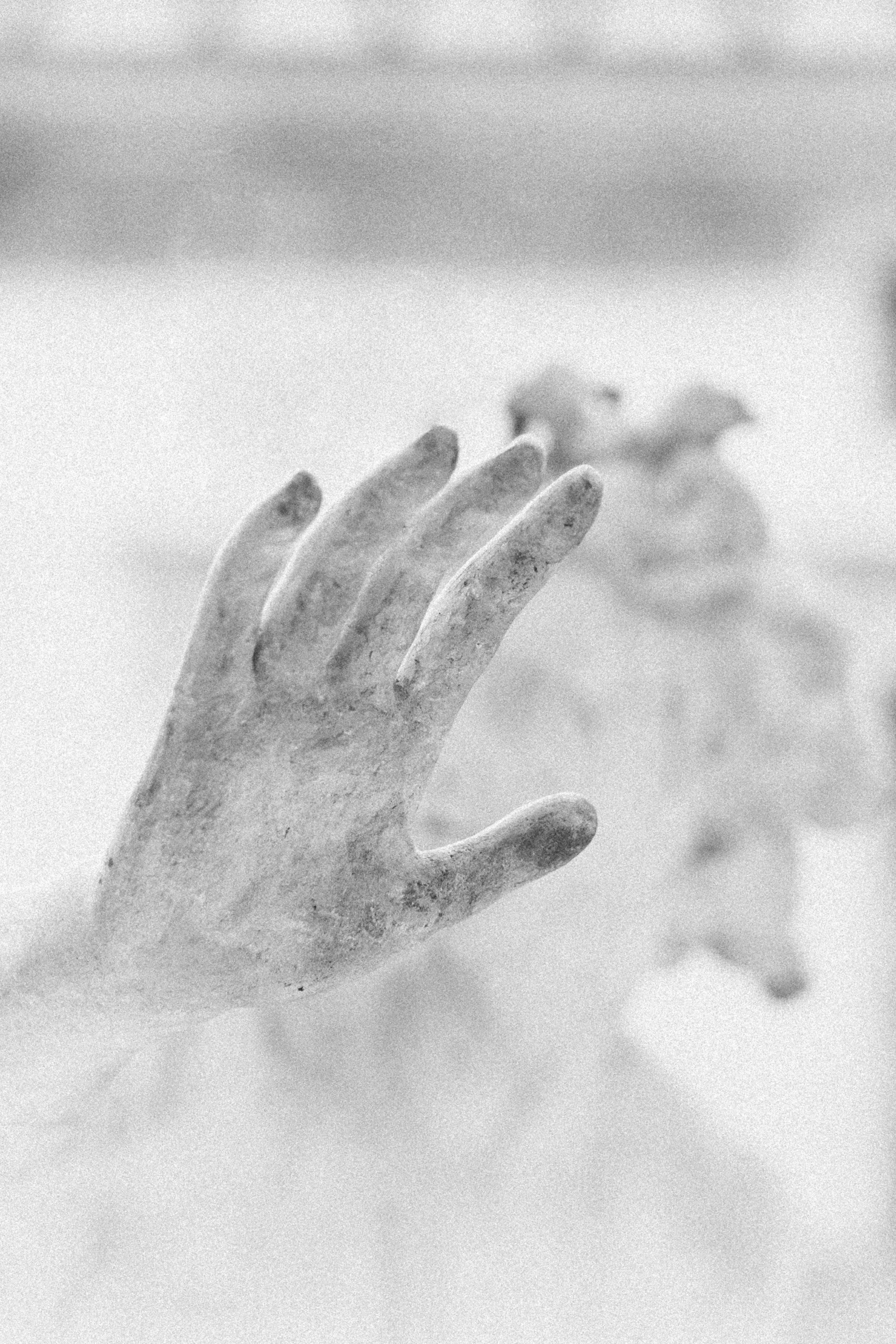 Alina Sepp_High Five.jpg