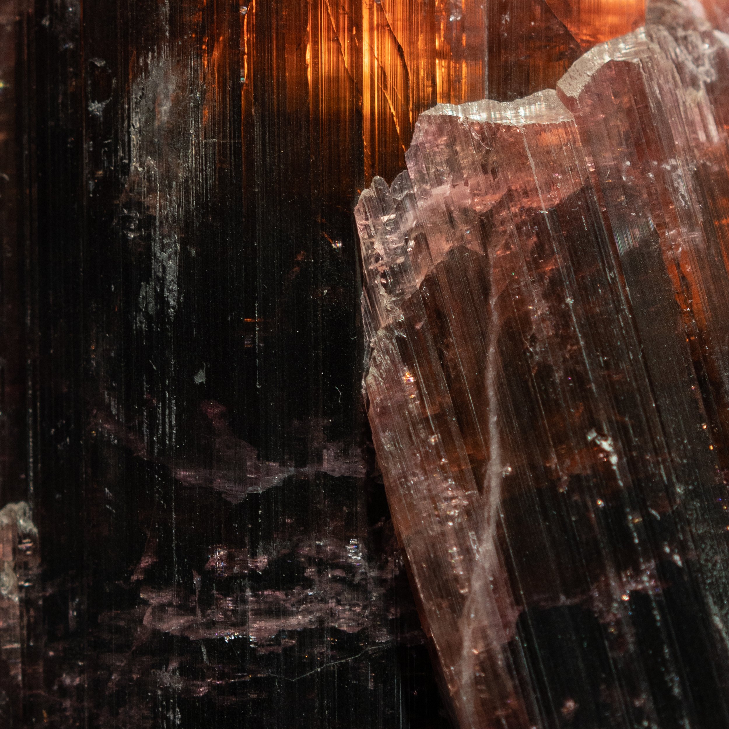 Alina Sepp_Mineral Cosmos_4.jpg