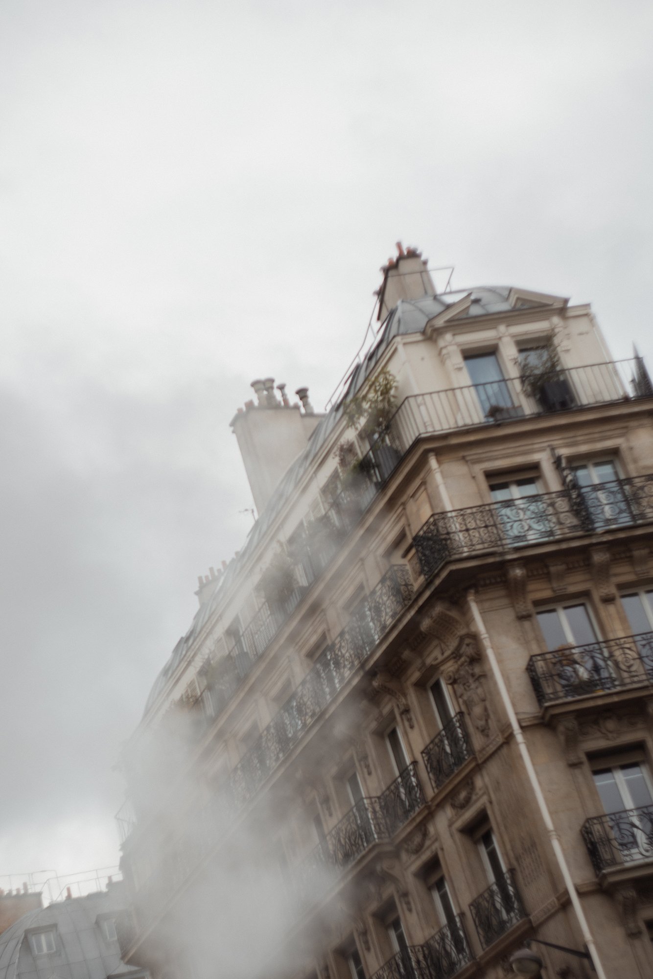 Alina Sepp_Paris3s.jpg