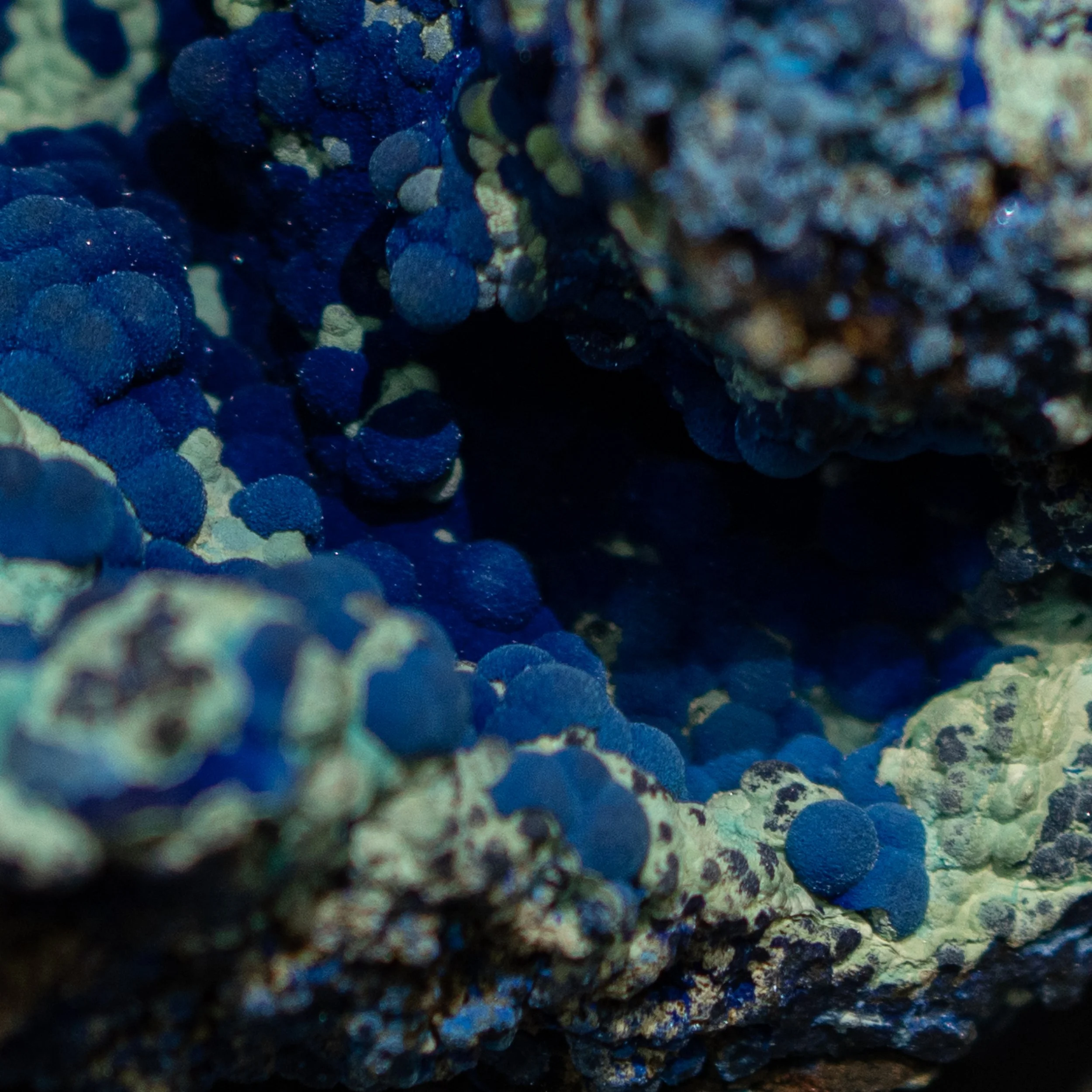 Alina Sepp_Mineral Cosmos_6.jpg