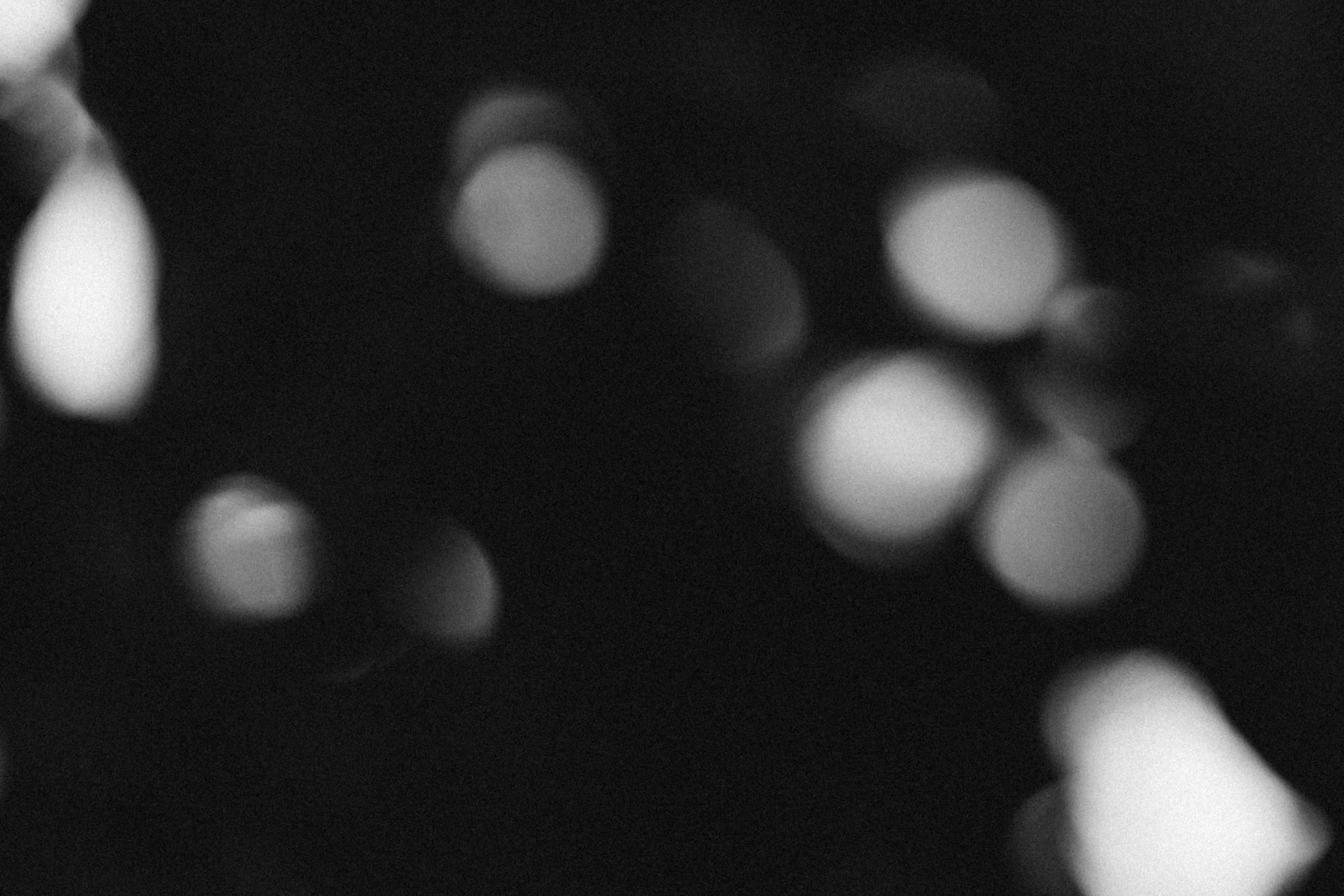 Alina Sepp_Uncertain_4.jpg