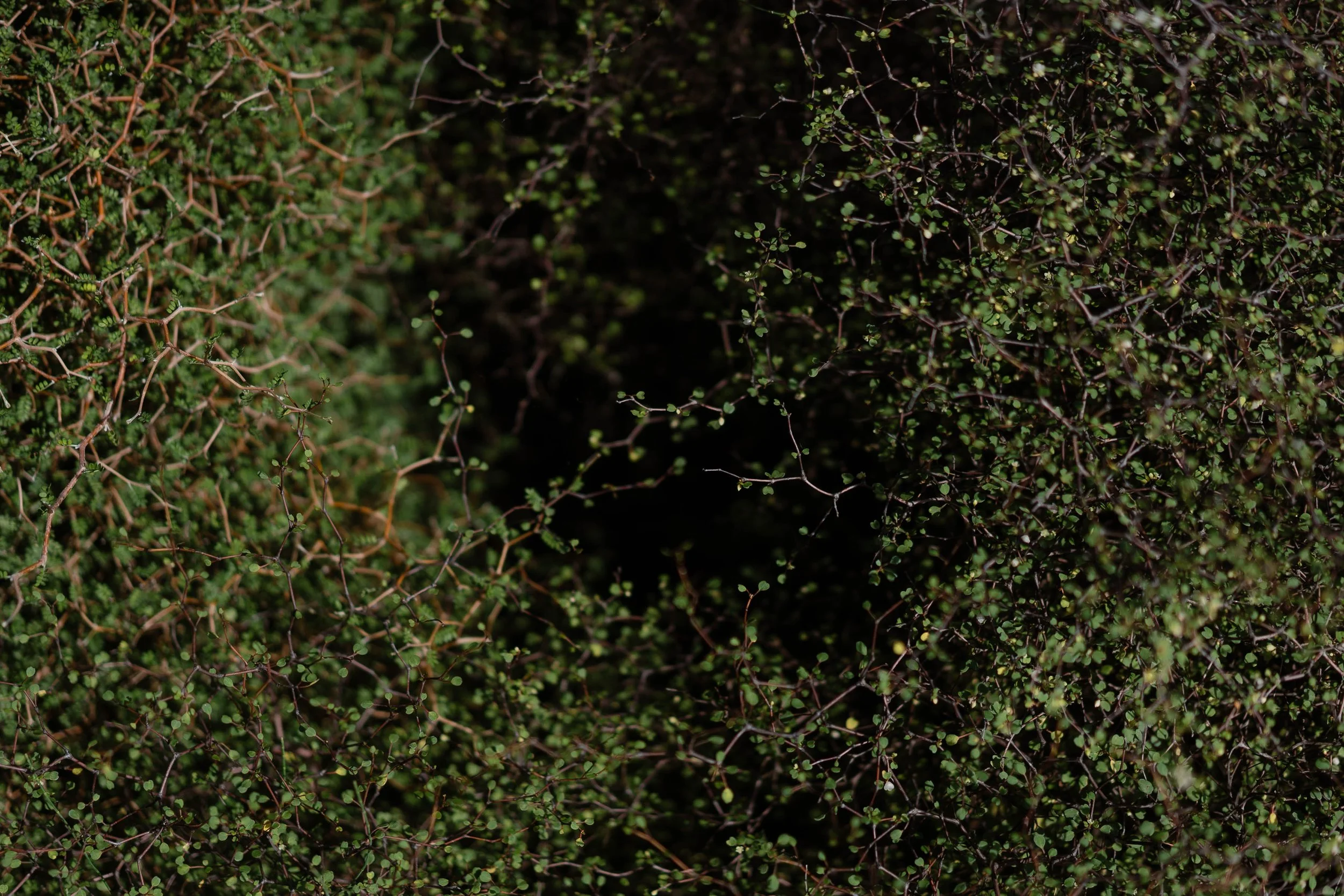 Alina Sepp_Uncertain_2.jpg