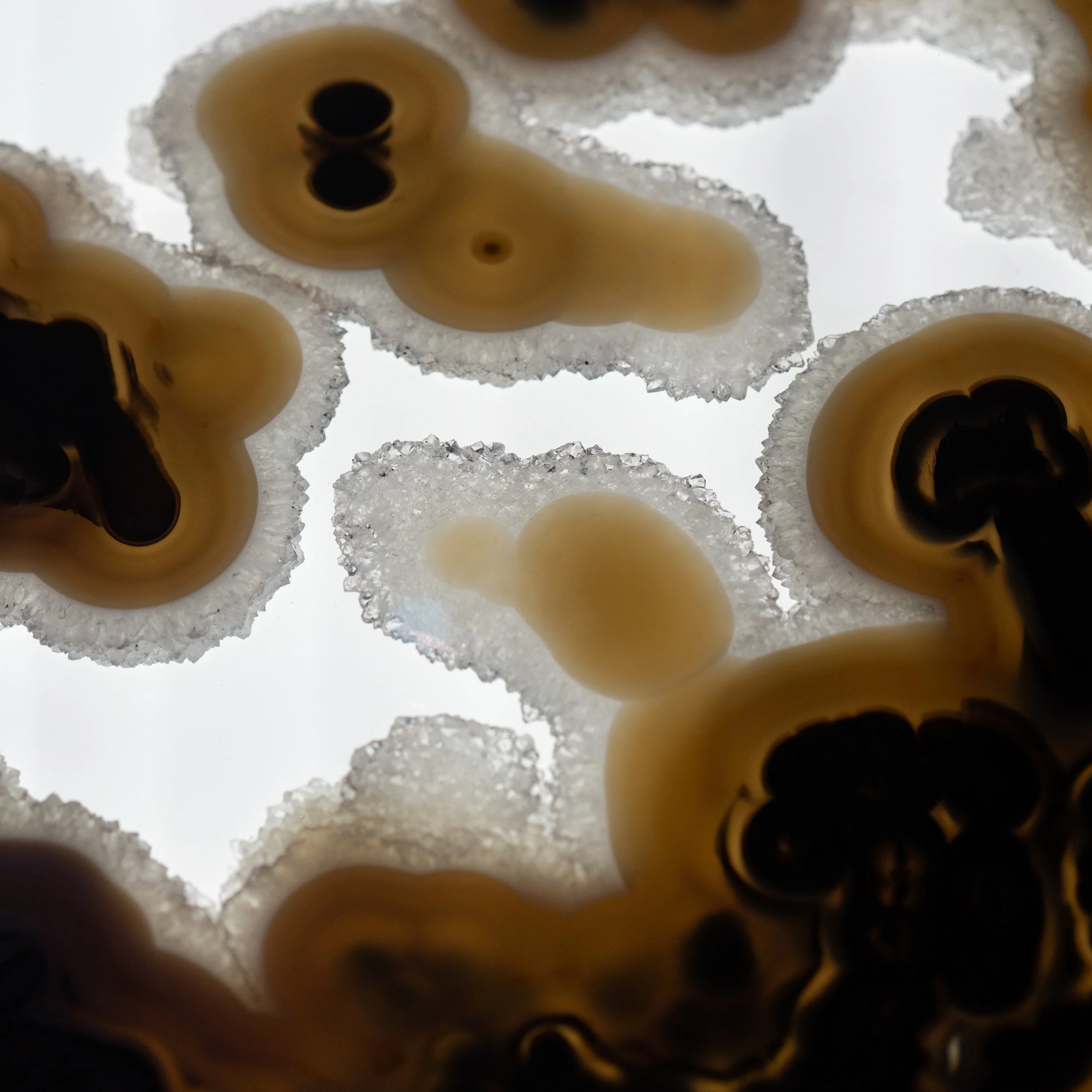 Alina Sepp_Mineral Cosmos_7.jpg