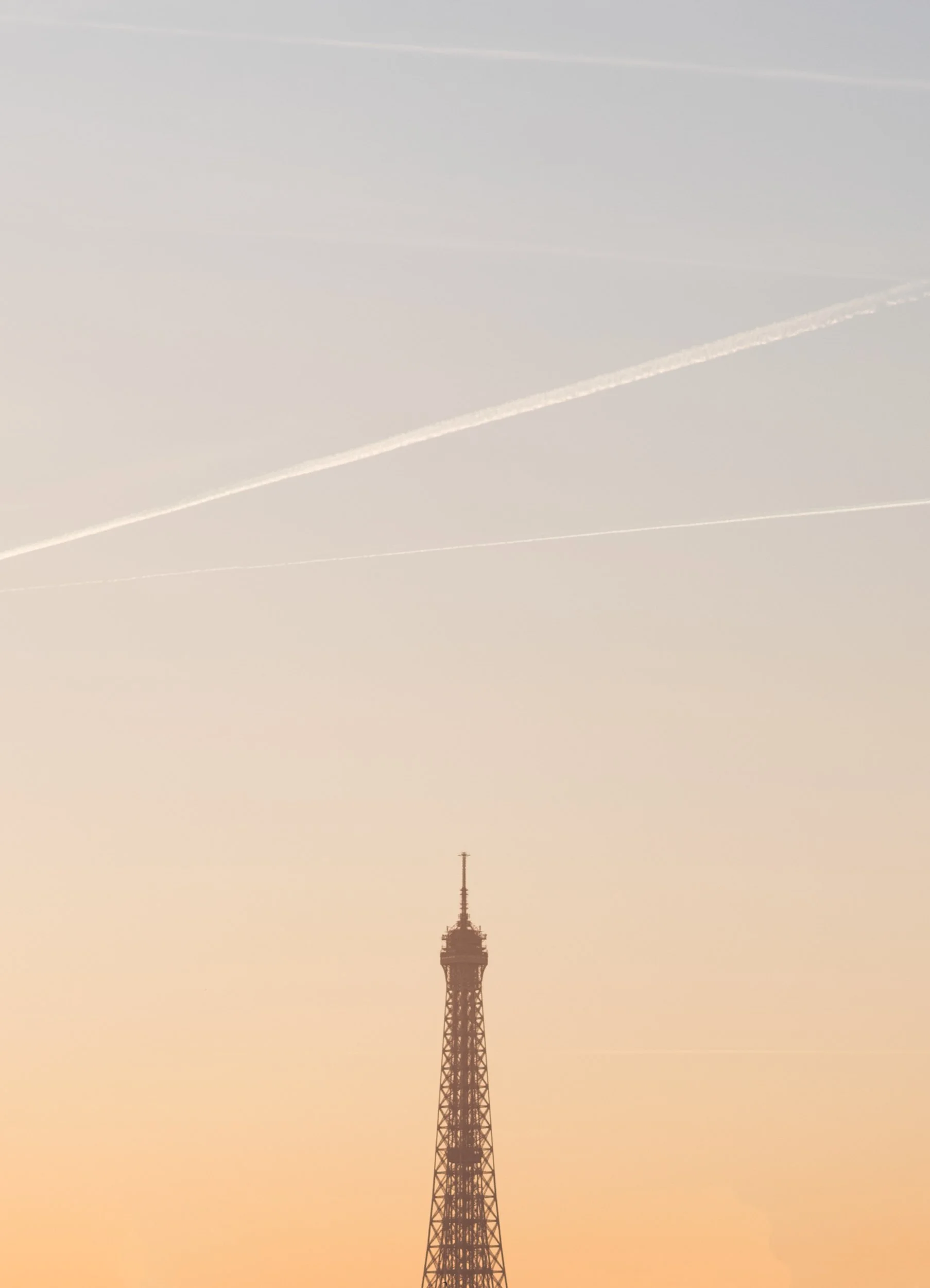 Alina Sepp_Rocket.jpg