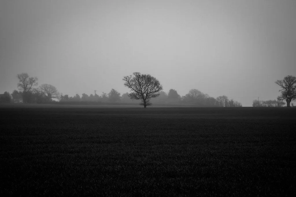 What to Expect When Working with a Freelance Designer