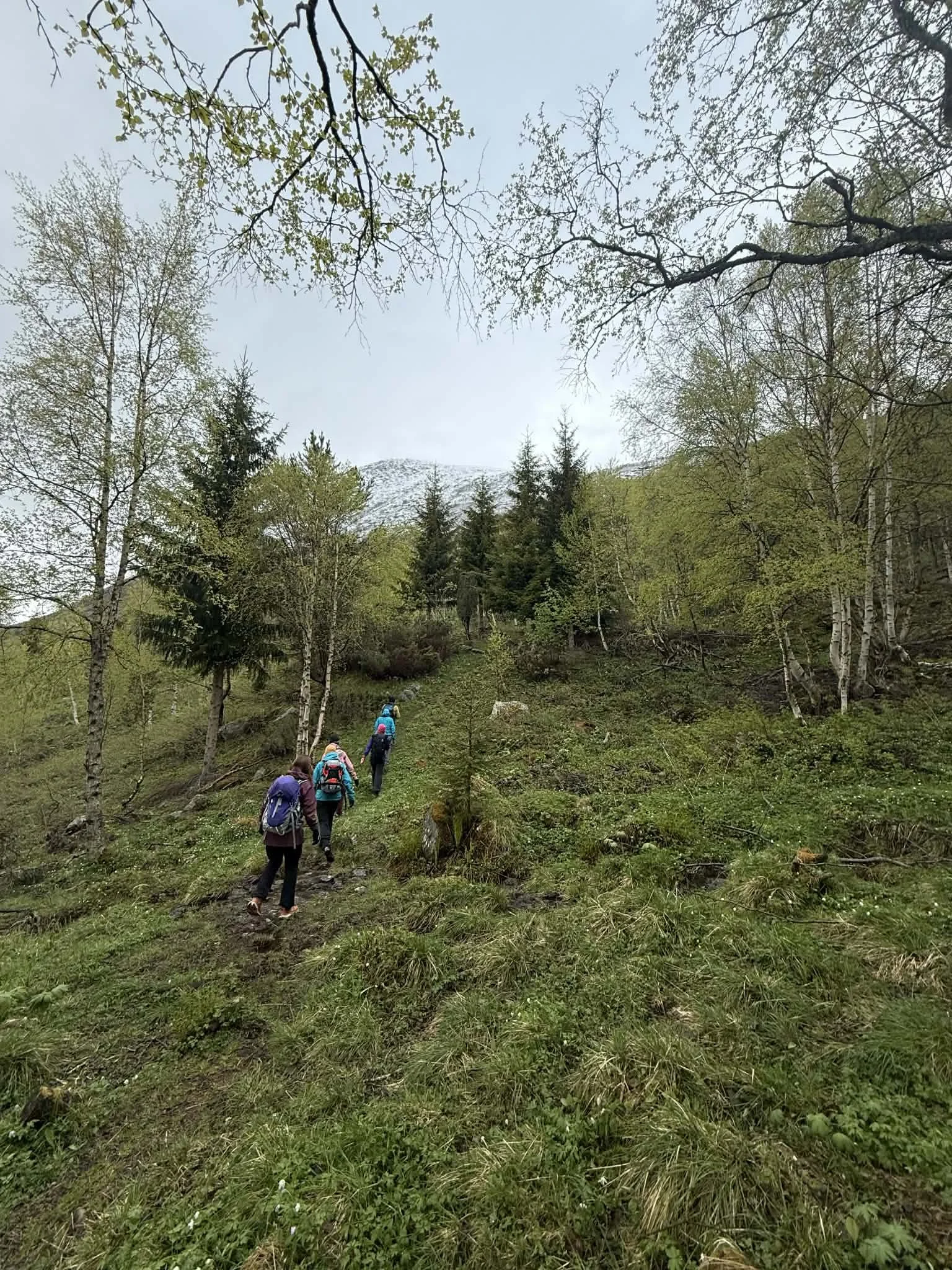 2025-12-15 16-27-07 (31).jpeg