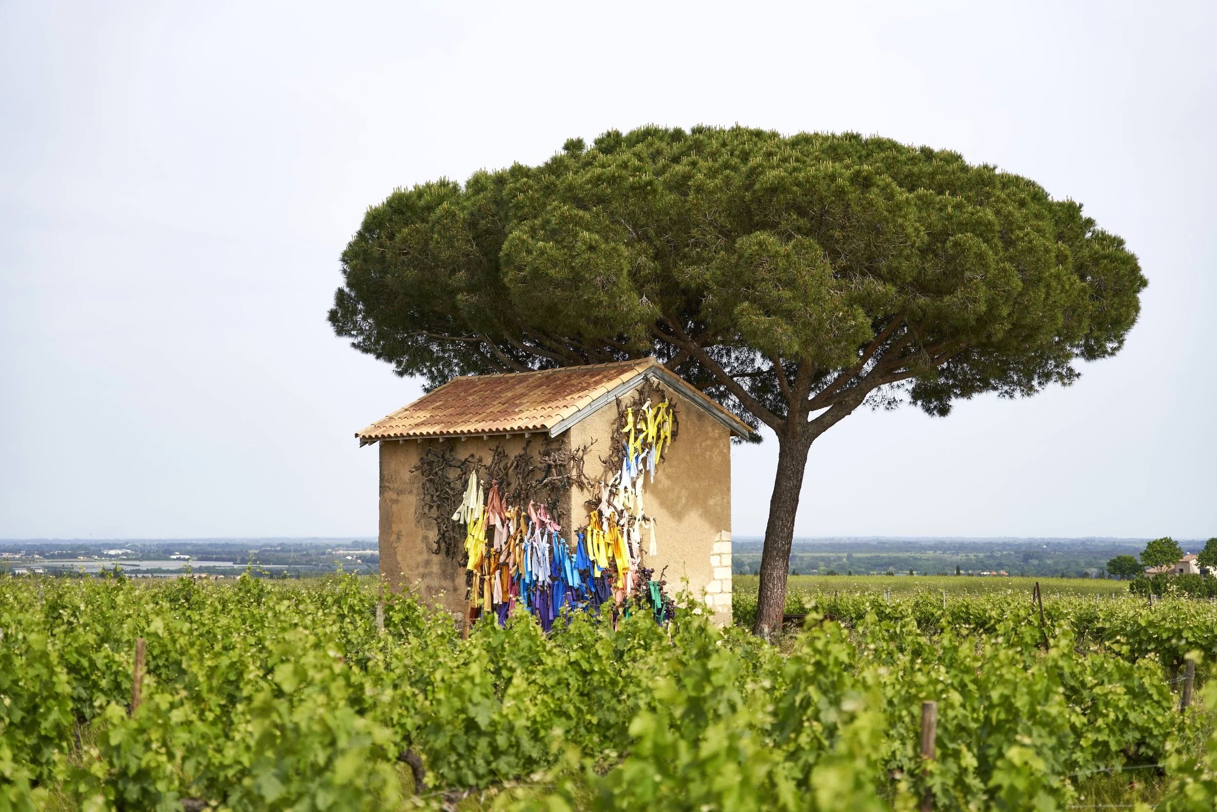 Une petite cabane en pierres dans un vignoble avec des rubans colorés accrochés à ses murs, sous un grand arbre avec un feuillage dense.