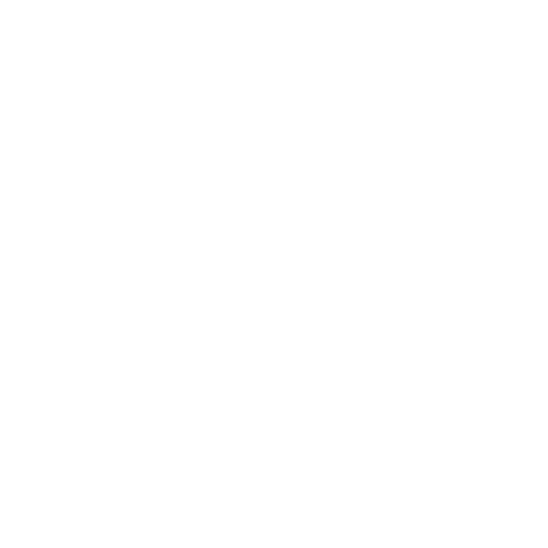 NICA