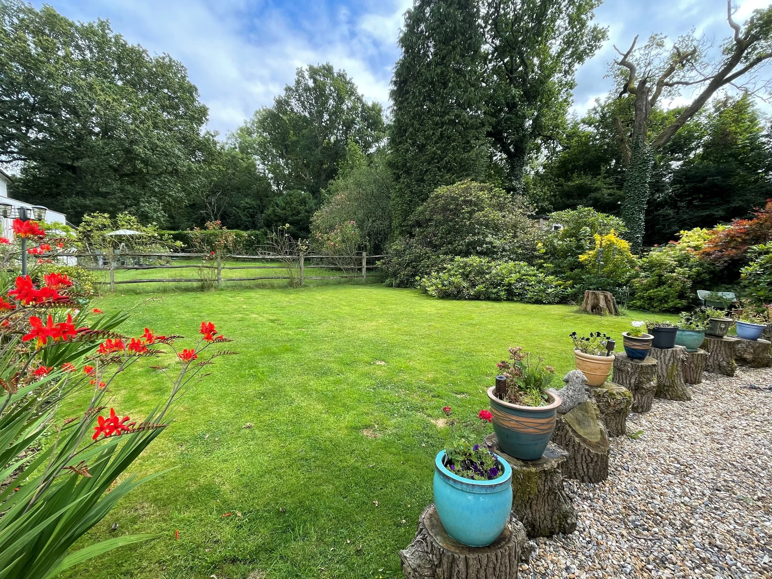 garden new 1.jpg