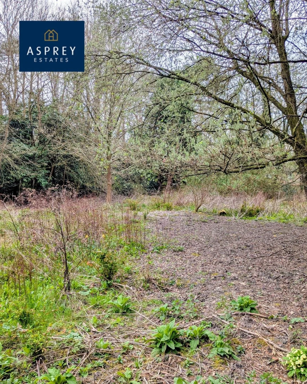 🏡 FOR SALE BY PUBLIC AUCTION &ndash; 28 MAY 2026 🏡

💷 Auction Price Guide: &pound;400,000

📍 Copthorne Common
An exciting investment and development opportunity.

✔ Freehold development site extending to approximately 0.482 acres
✔ Driveway acces