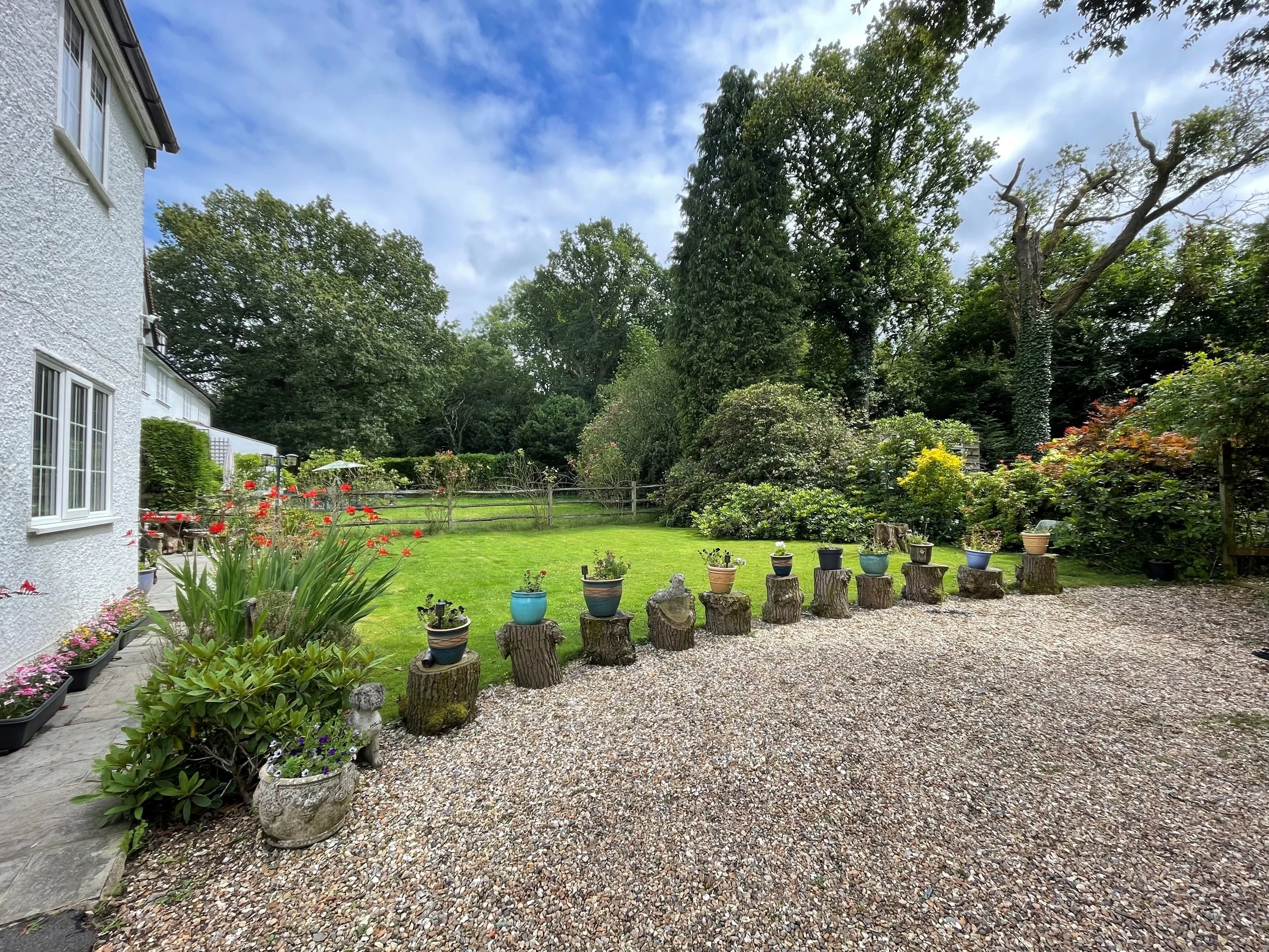 Garden new.jpg