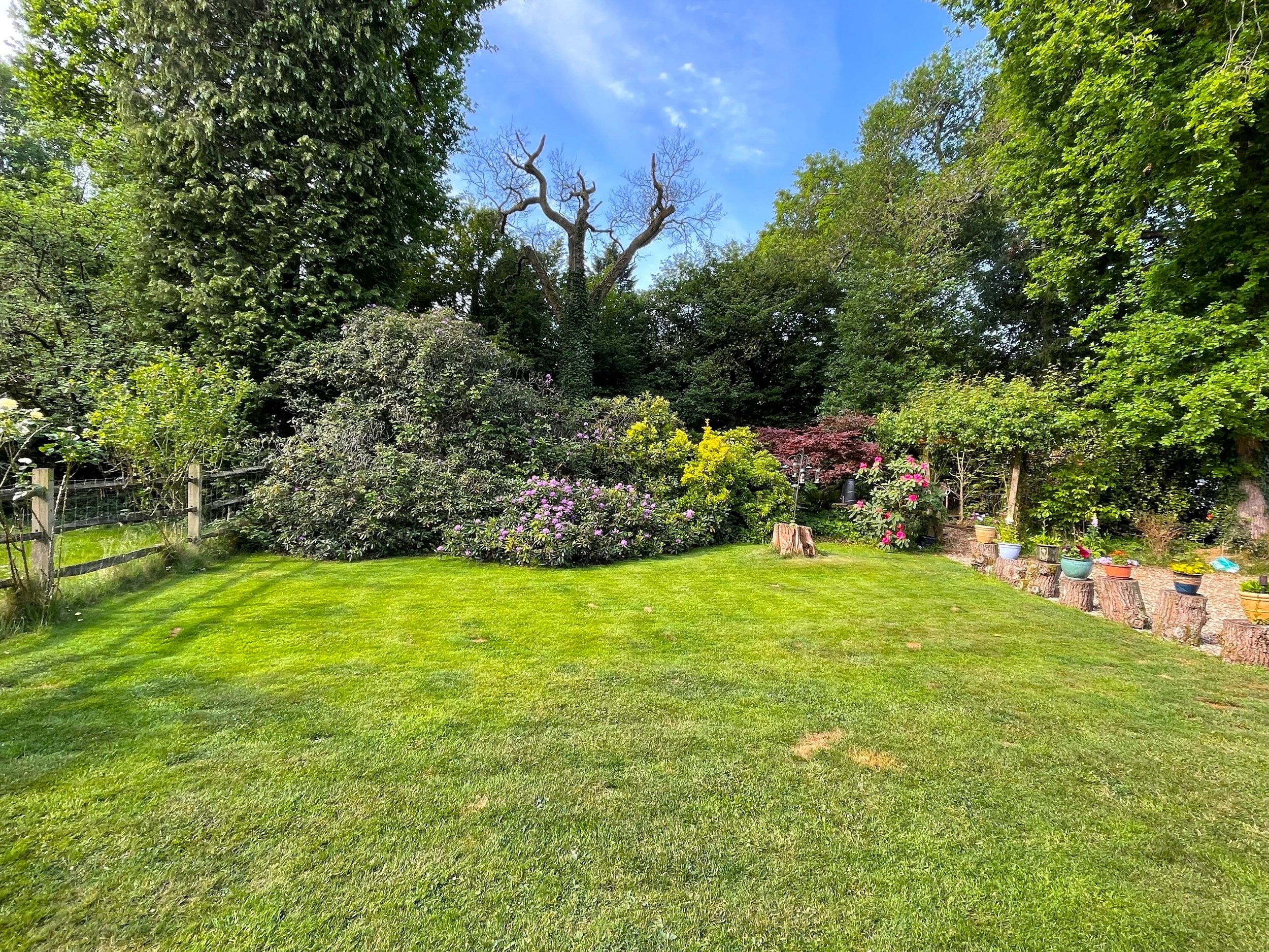 new garden 1.jpg