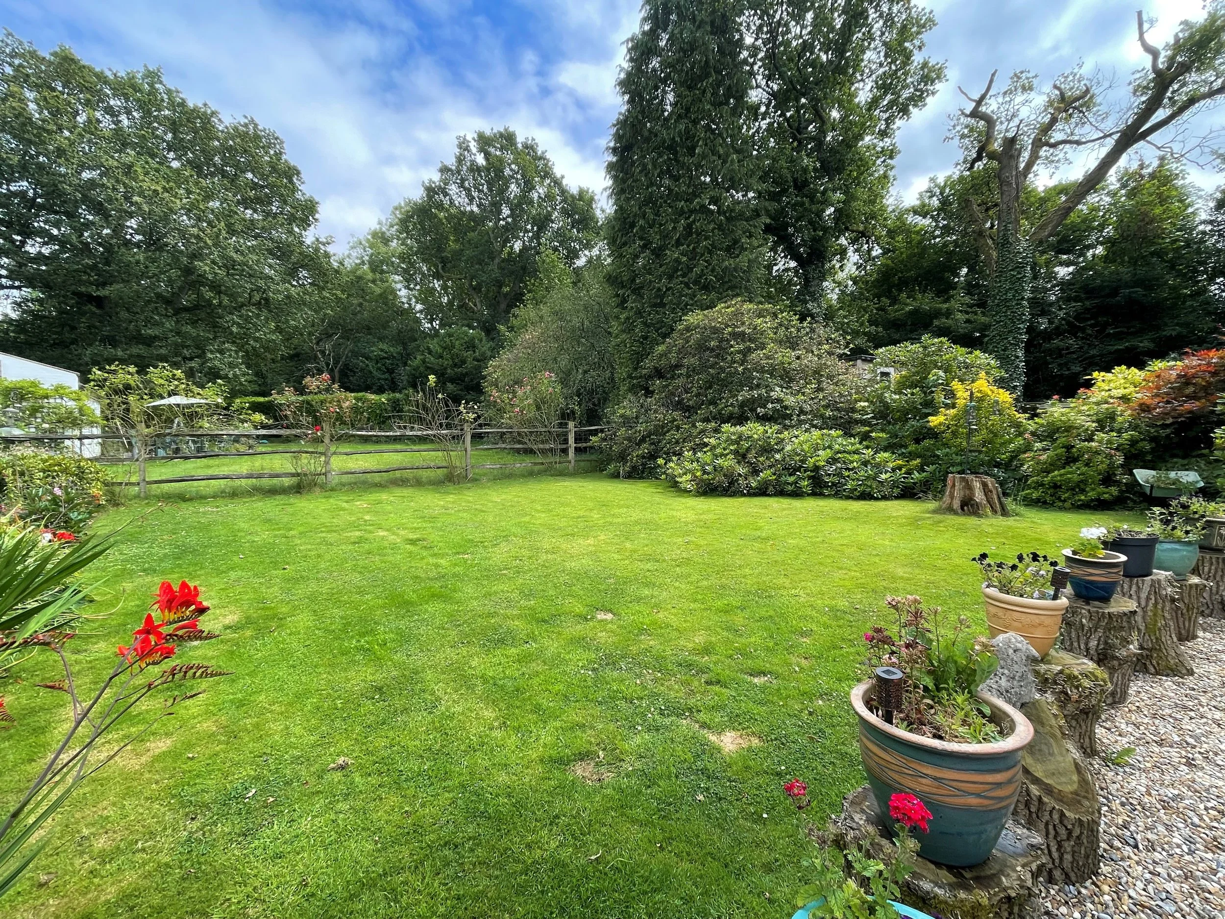 garden new 2.jpg