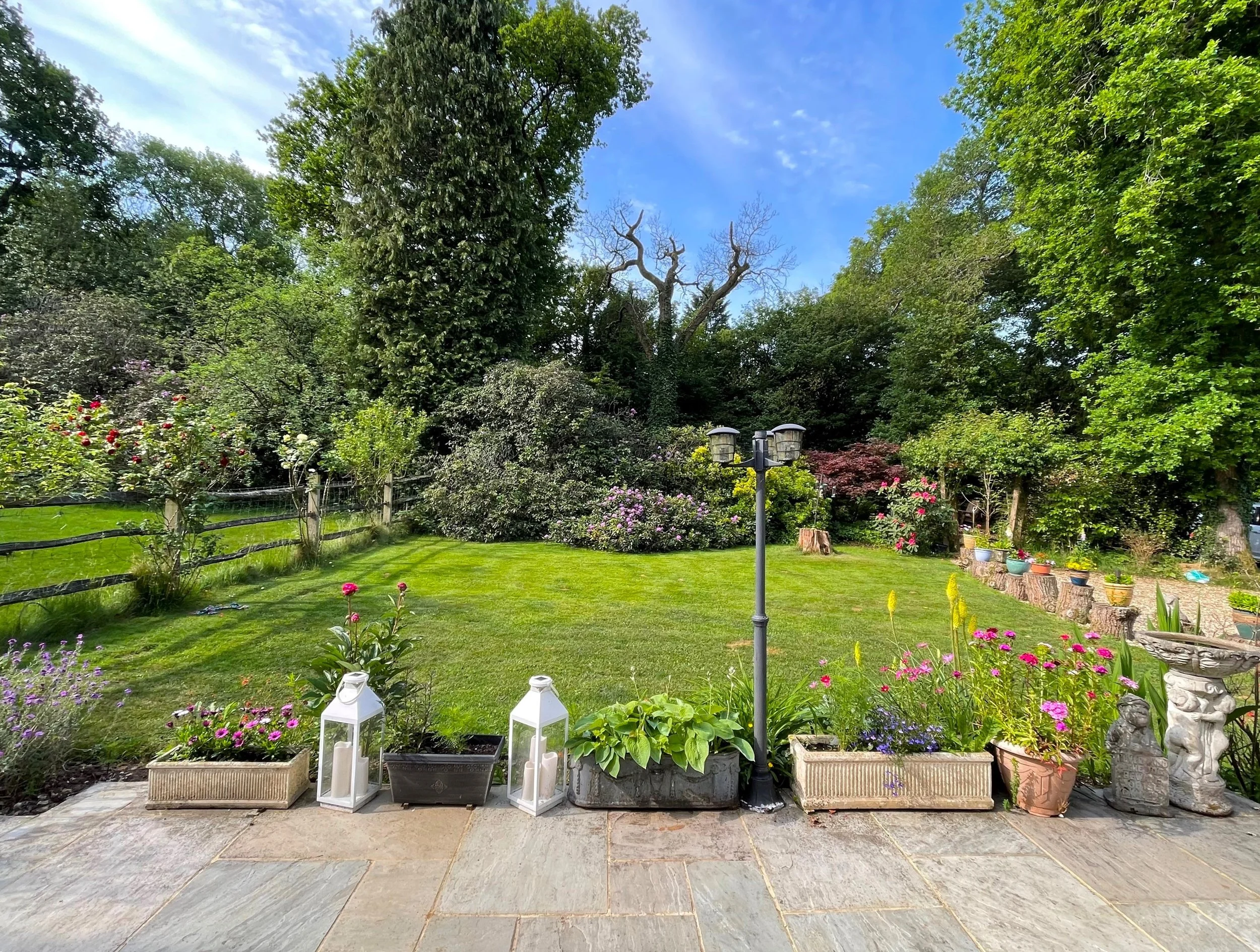 new garden 2.jpg