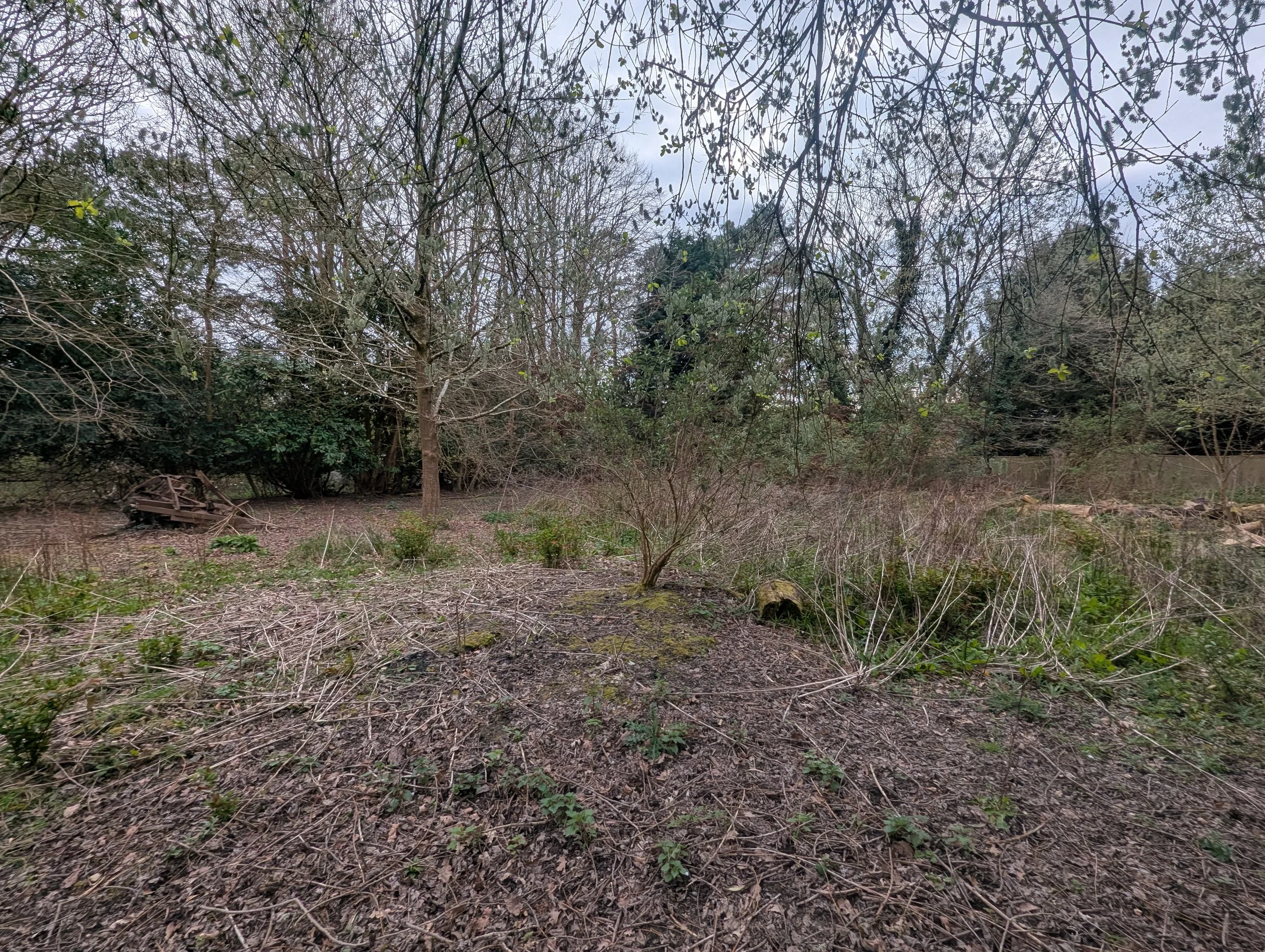 Land for sale Copthorne Common