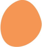 A peach with a brown stem on a white background.