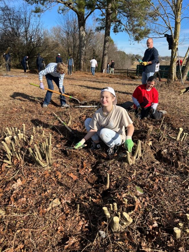 People planting trees in a wooded outdoor area during the day