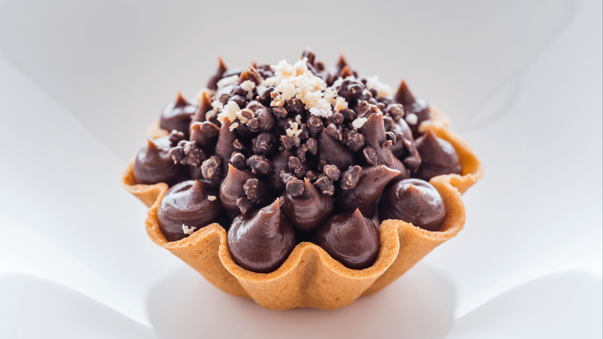 Copy of Copy of Toast rebrand-min.png