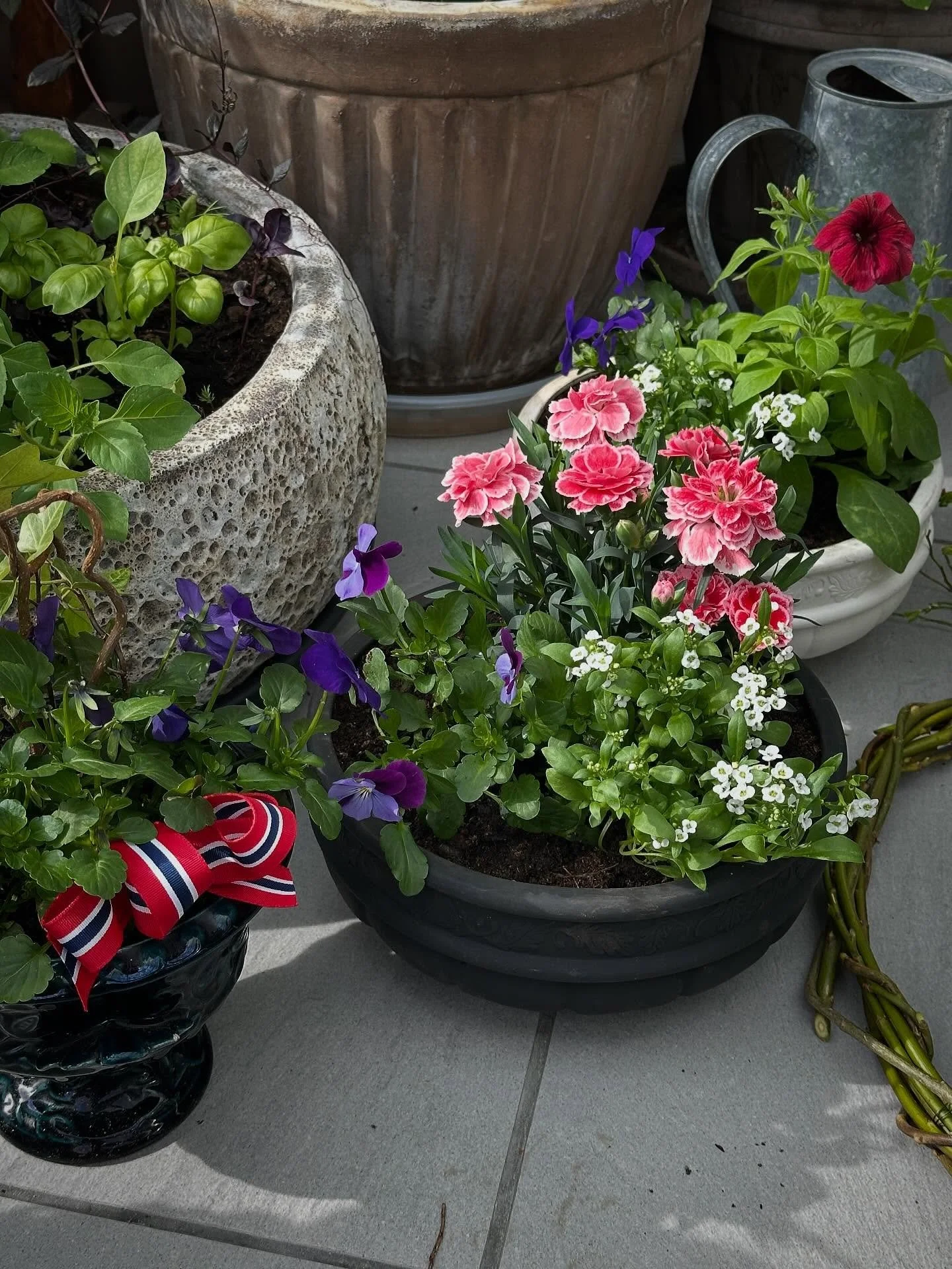 Planteverdenen minner oss om sesongenes nydelige variasjoner - snart nasjonal festdag 🇳🇴

#nasjonaldag #sesong #mai #detaljer #inspirasjon