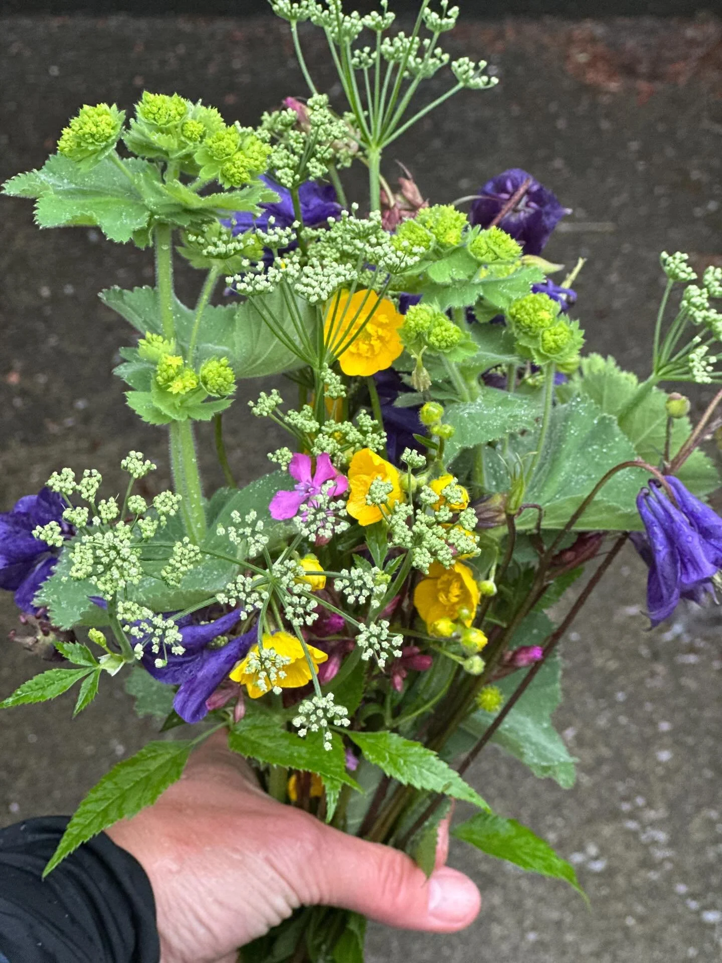 Man trenger virkelig ikke st&oslash;tte en blomsterindustri som driver med import, plantevernmidler og d&aring;rlige arbeidsforhold. Sl&aring;r et slag for en lett tilgjengelig, vakker gr&oslash;ftekantbukett. Nydelig, naturlig og milj&oslash;vennlig