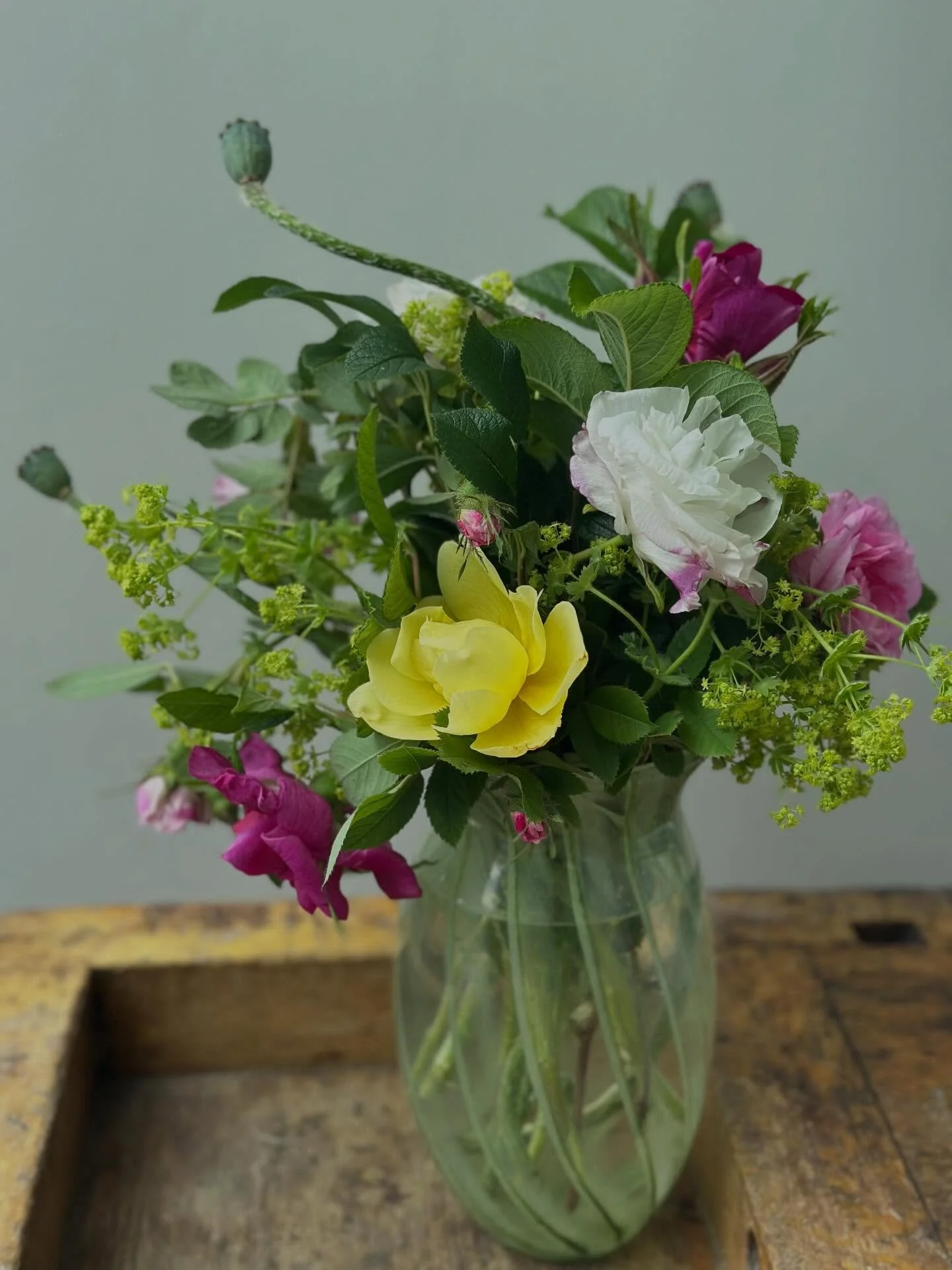Love my garden&hellip; 

 #slowflowers #wellbeinggarden #health #vitaming