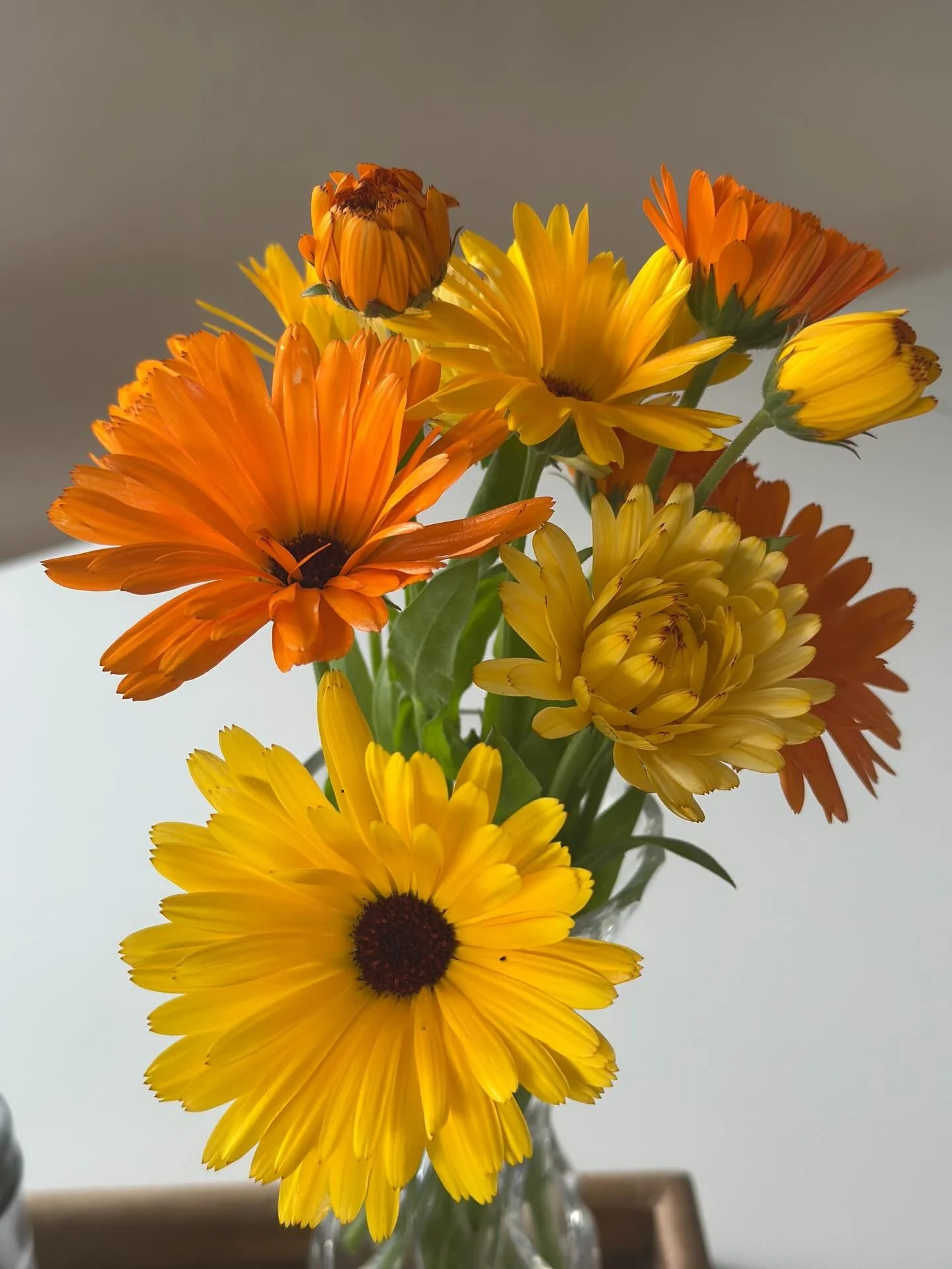 &Aring; omg&aring;s vakre blomster i sesong - trenger man egentlig be om s&aring; mye mer..?

#Ringblomst h&oslash;rer h&oslash;sten til, men forberedelsene m&aring; starte f&oslash;r. Haging handler ofte om et langsiktig blikk; 

1. lag til et egnen