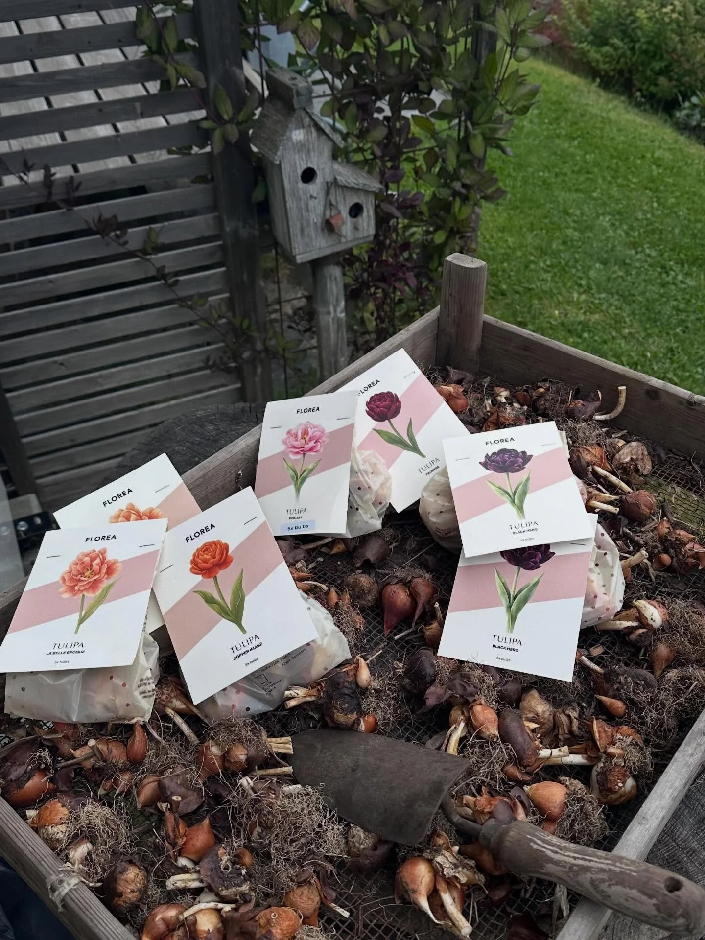 Dersom man skal h&oslash;ste der fremme, b&oslash;r man plante l&oslash;ken n&aring;&hellip; 

#Hage er med andre ord sakte arbeid. Naturen m&aring; ta den tiden det tar. En nyttig mental utfordring, da det meste i dagens samfunn skal skje fort. #men