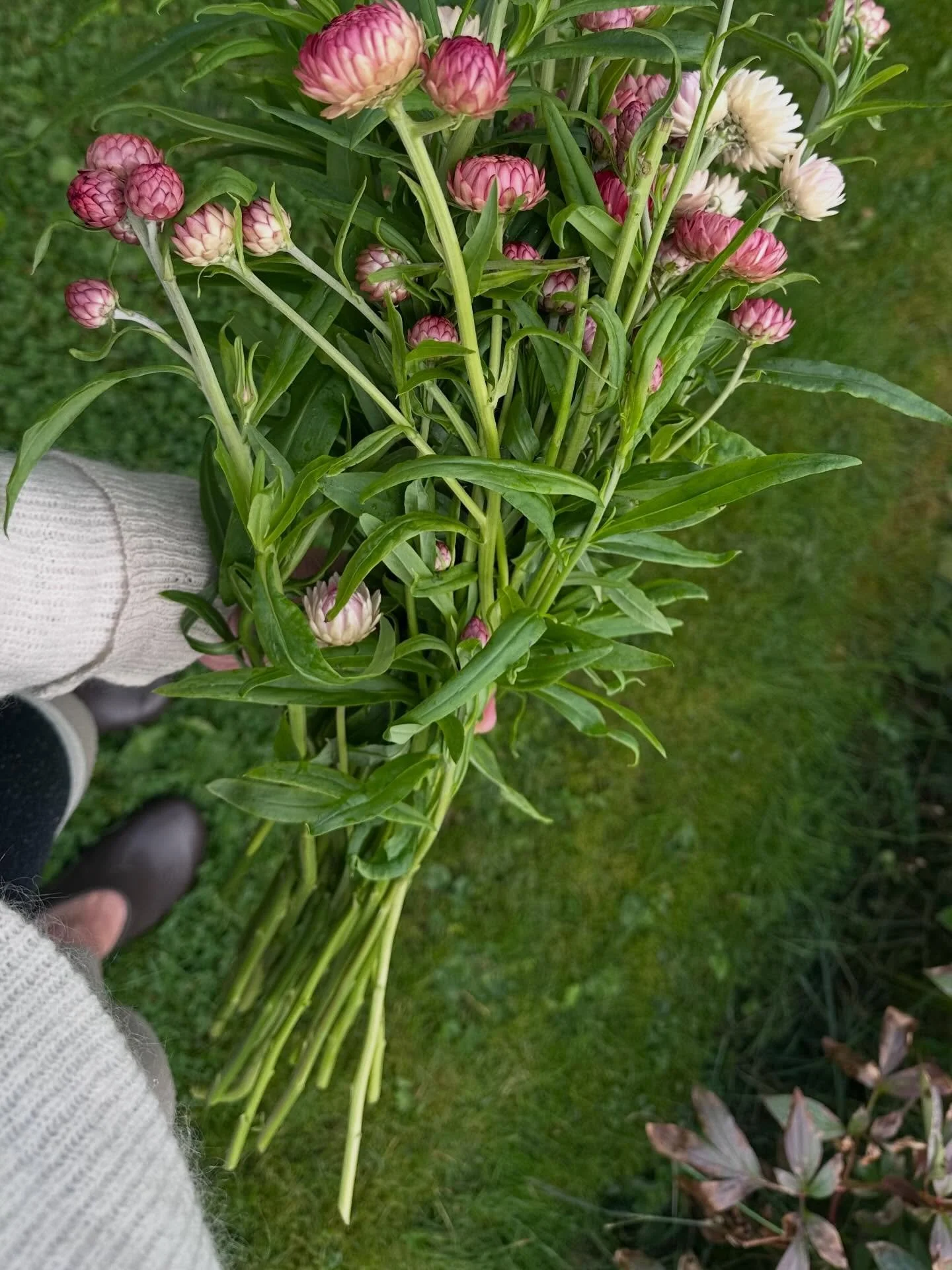 H&oslash;st inspirerer til h&oslash;sting 🍁🍂&hellip;

#skape #gr&oslash;nnglede #slowflowers