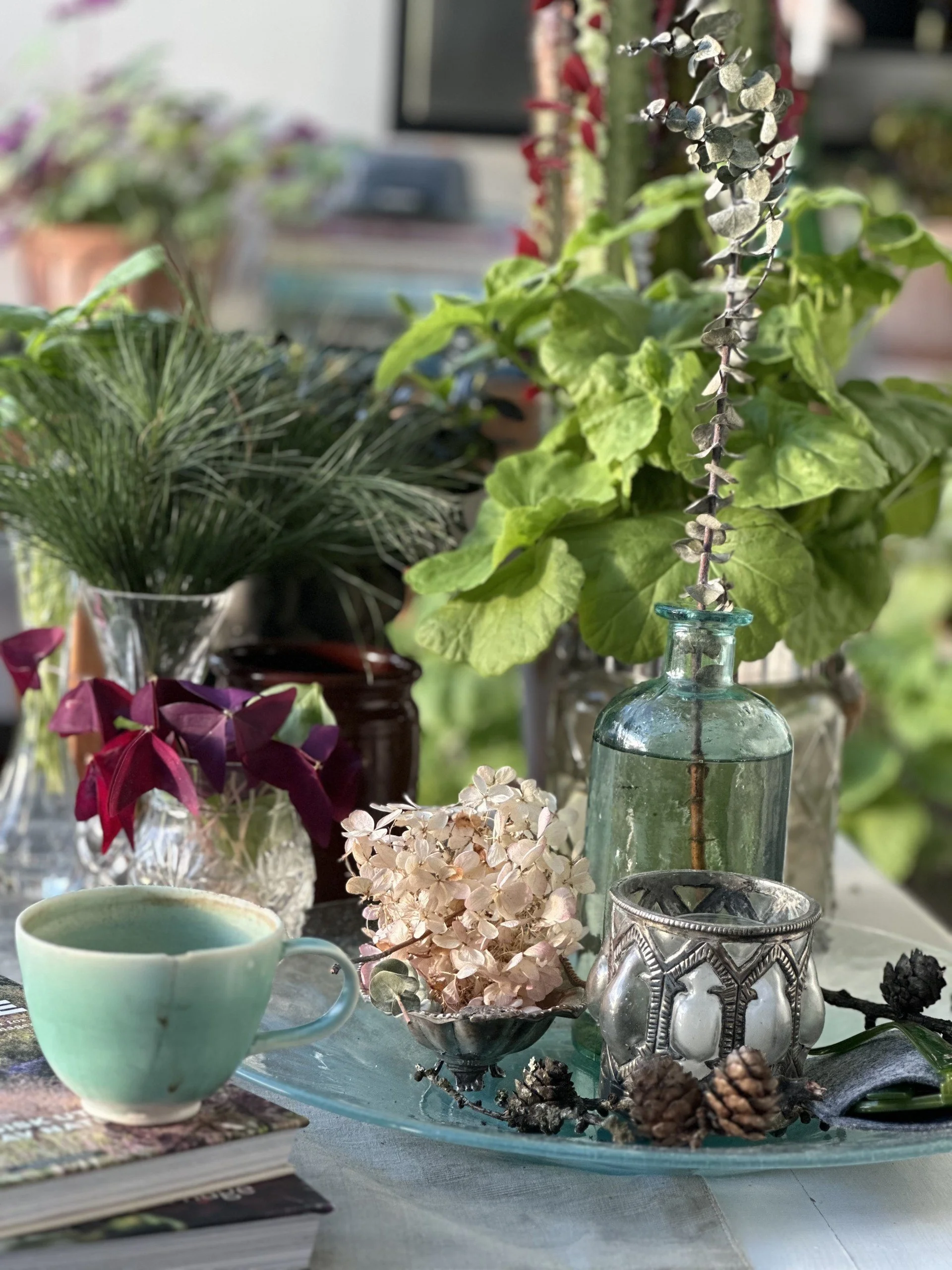 Vitamin G Kaffestund i vinterhagen