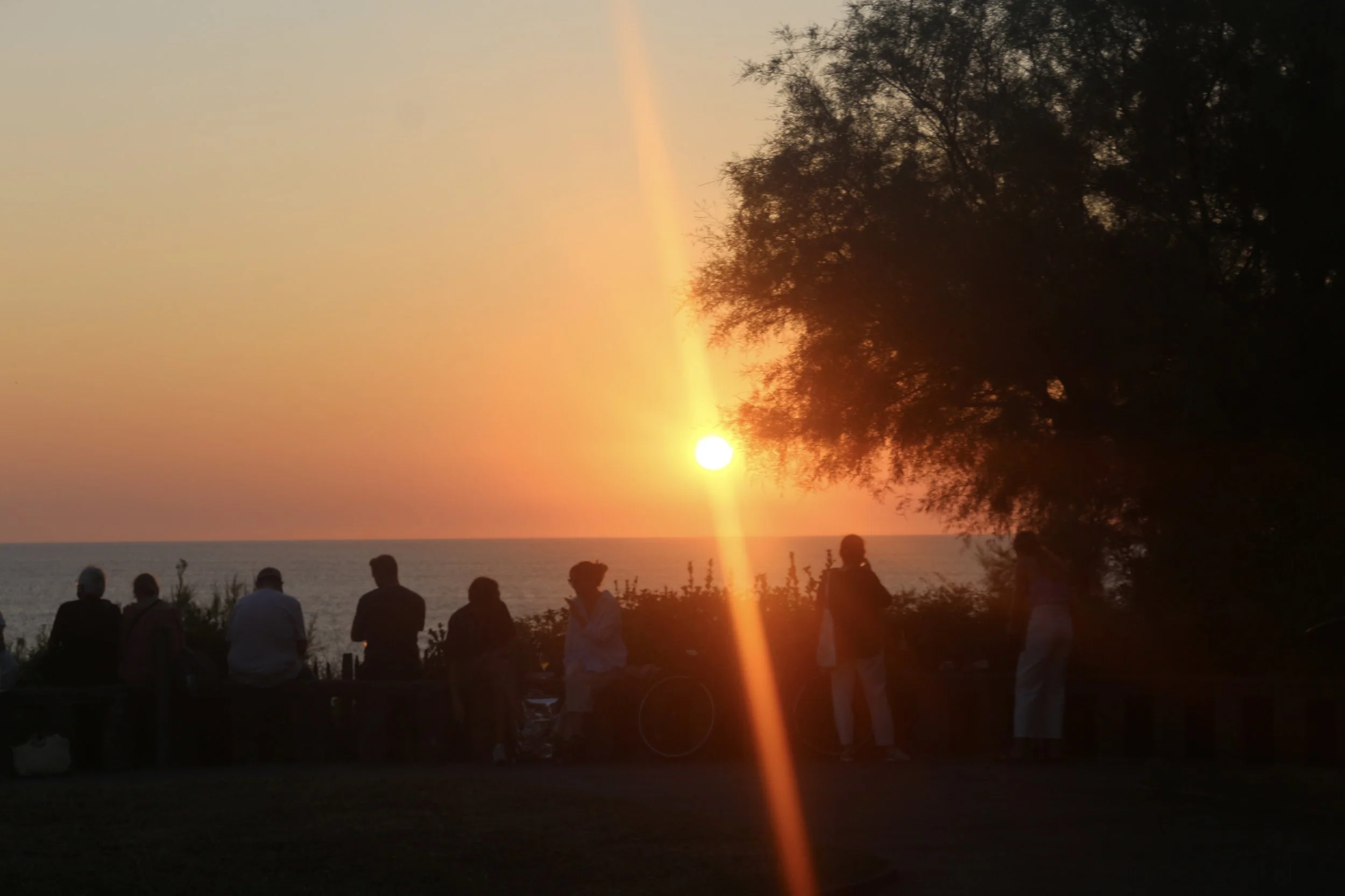 35753888_Unknown 2.jpg