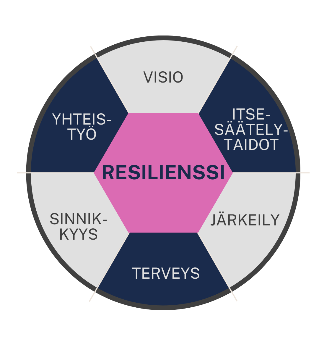 Resilienssin anatomia