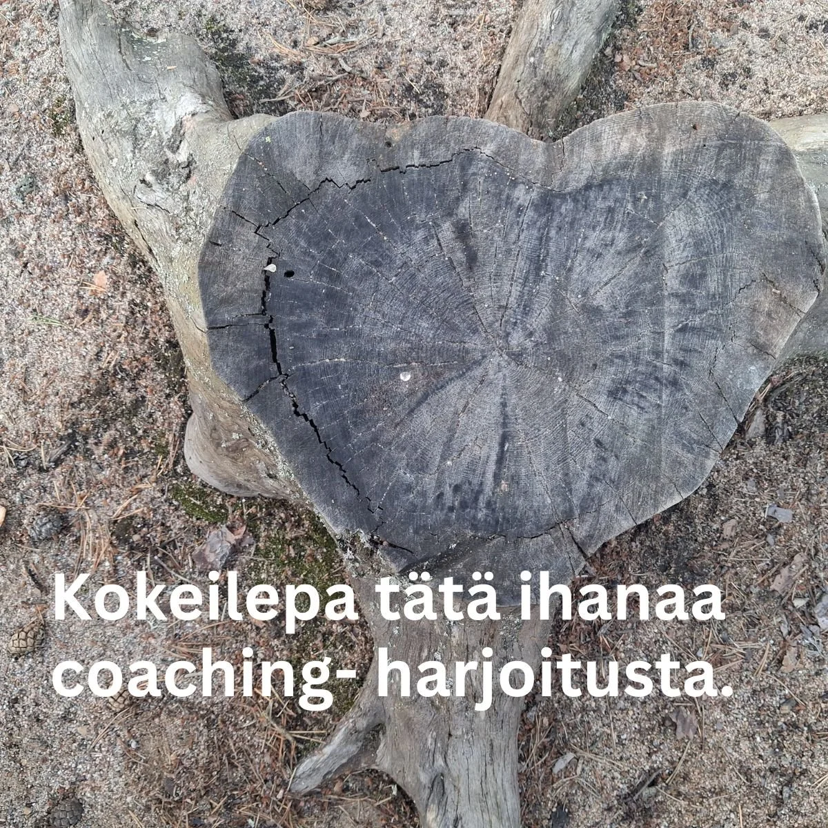 Tunteista