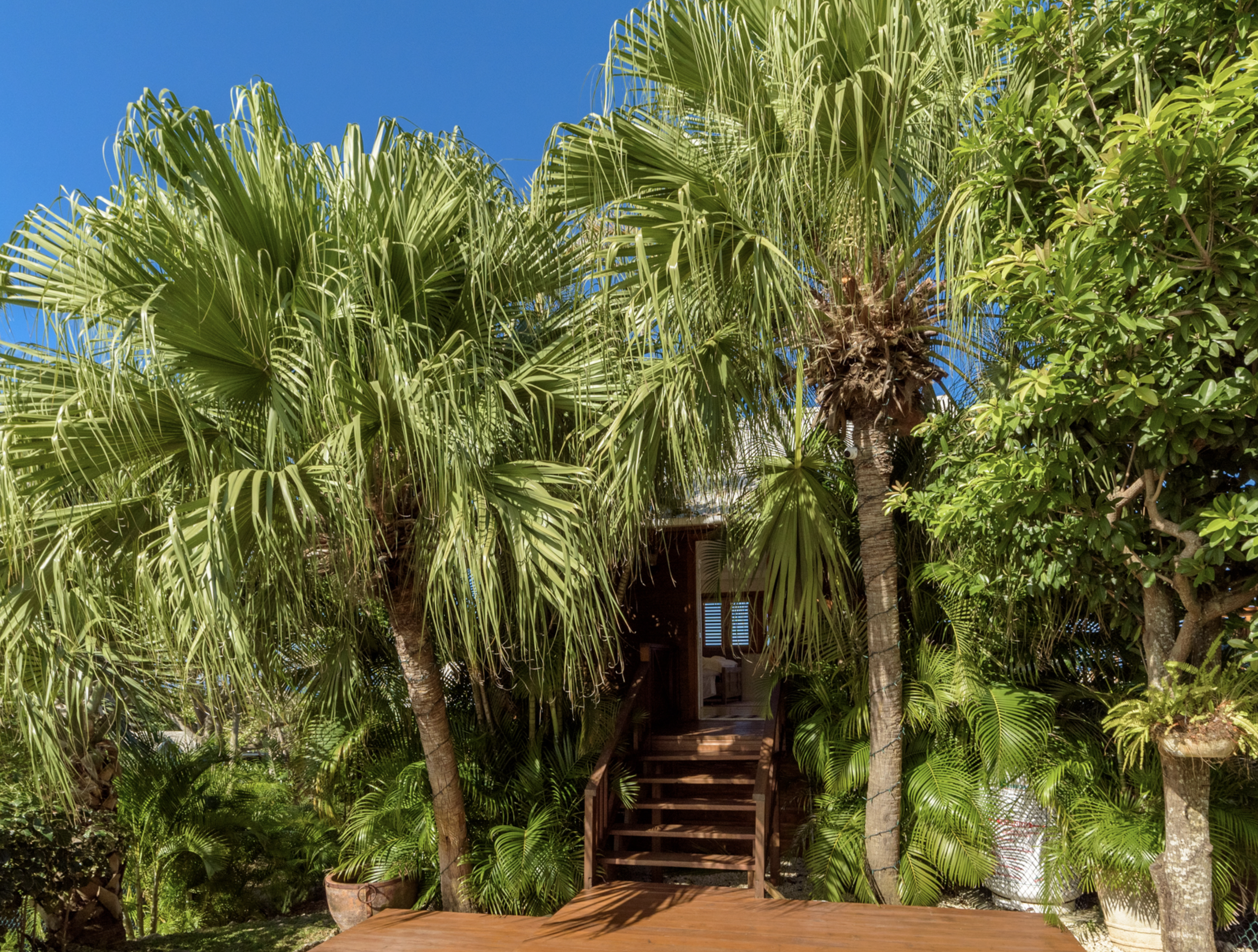 Discover tucked away corners amongst the vegetation.