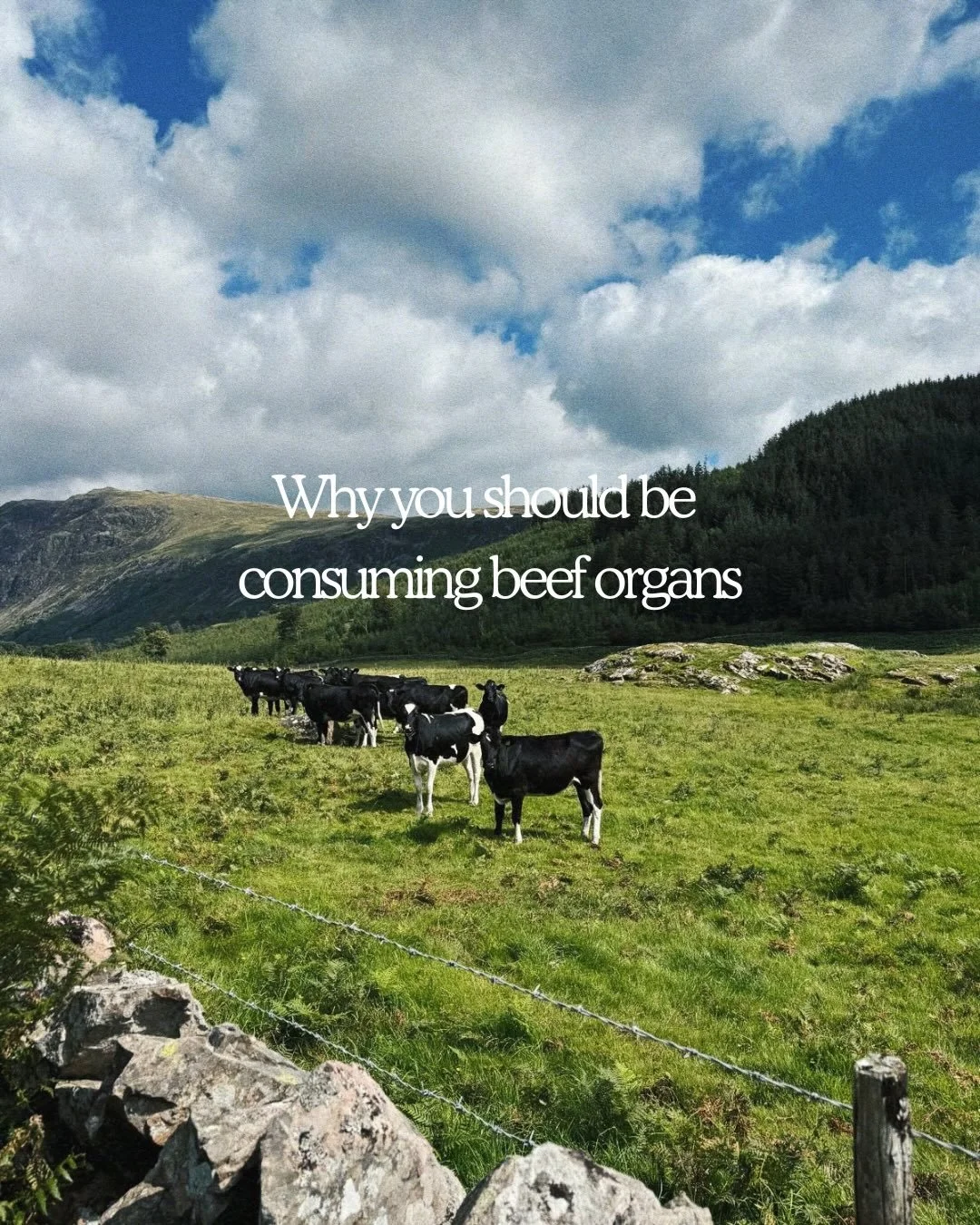 Why your diet needs more beef organs ➡️

#OthersideNutrition
#AncestralNutrition
#BeefOrgans
#OrganMeats
#NutrientDense