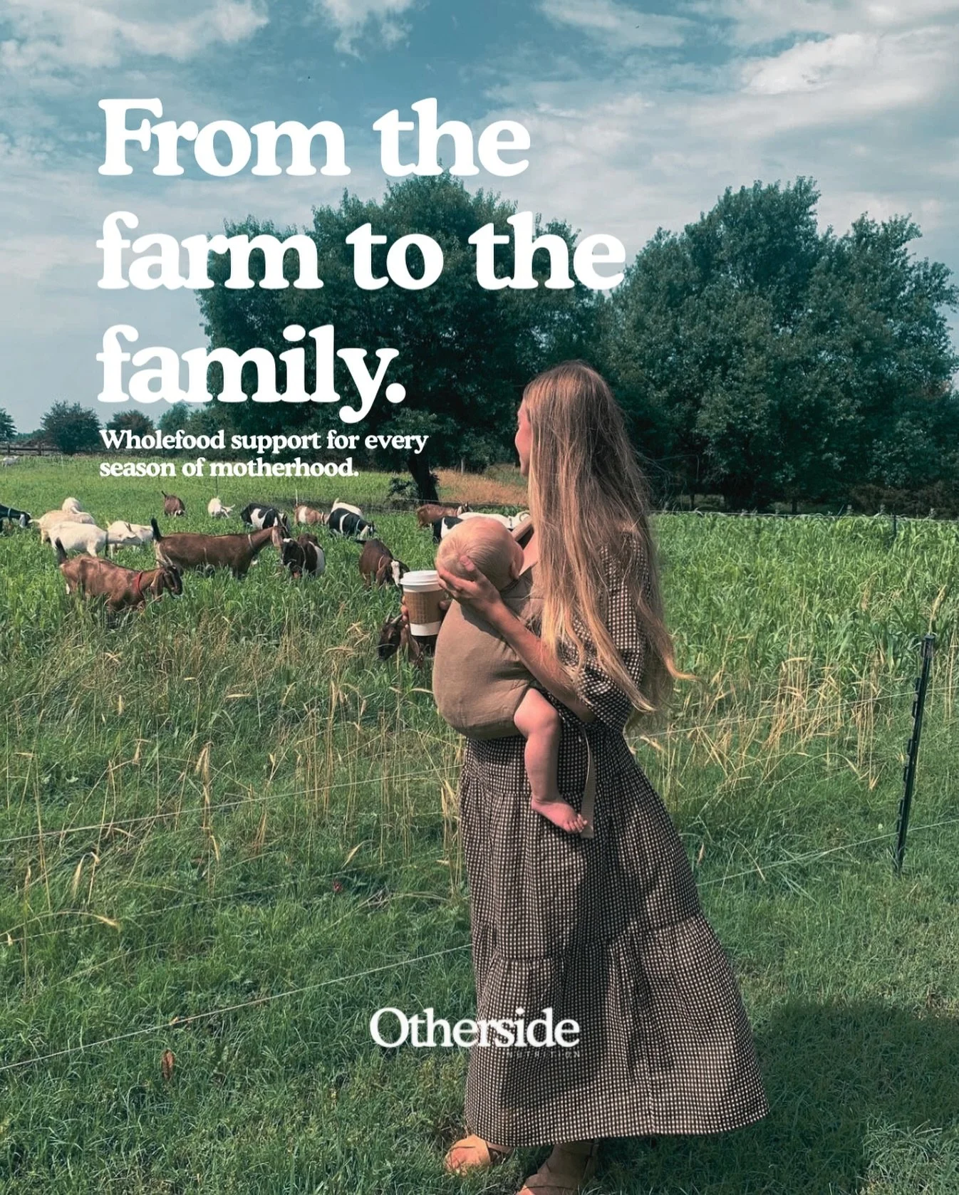 Motherhood asks everything from your body.

Whether you&rsquo;re growing life or rebuilding after birth, your body deserves more than empty calories &mdash; it deserves deep, bioavailable nourishment.

Otherside Nutrition was created with real, whole