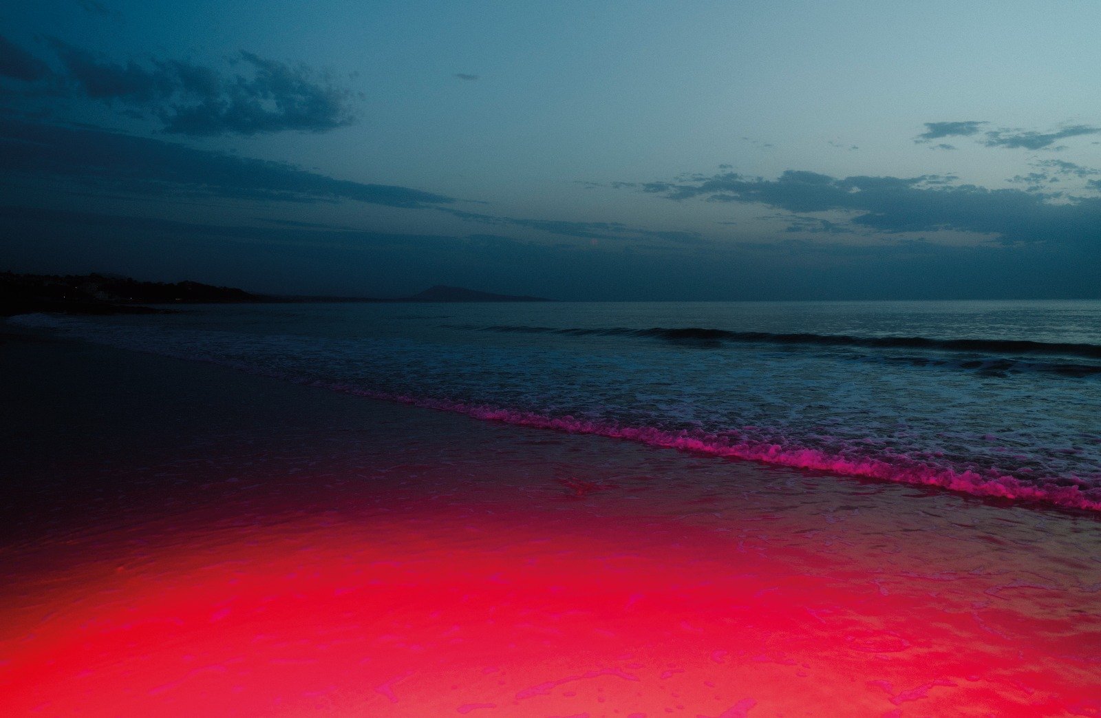 WhatsApp Image 2025-04-06 at 16.36.44_08d8b40d.jpg