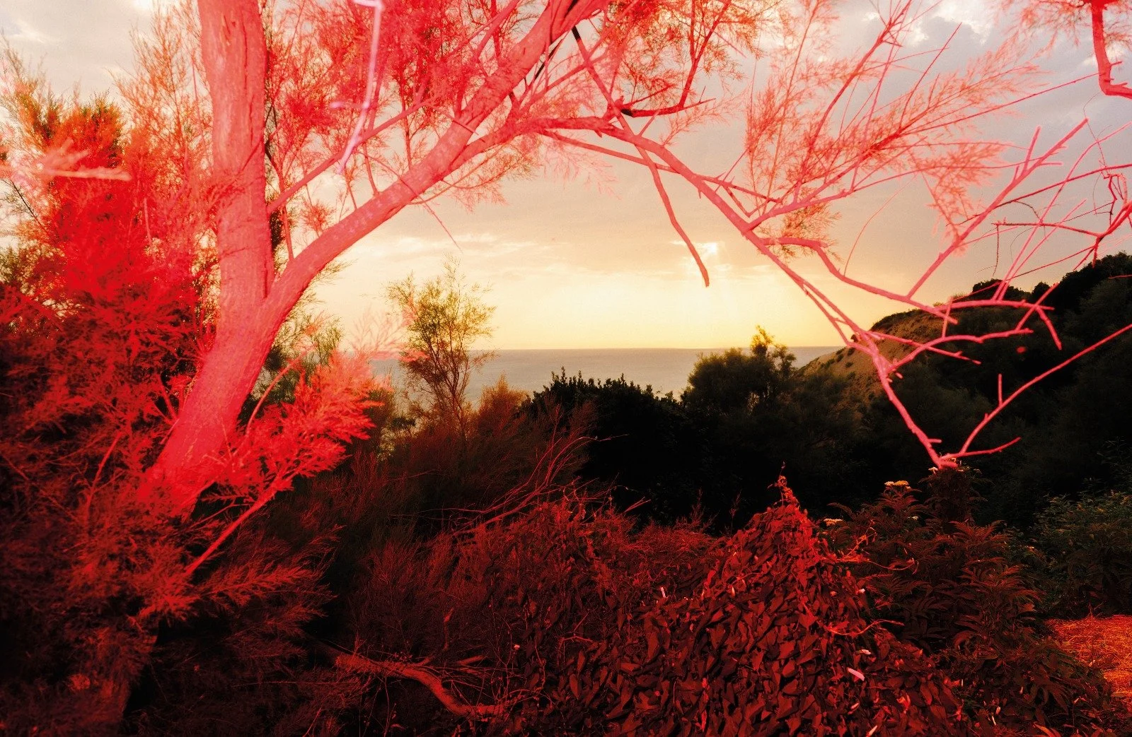 WhatsApp Image 2025-04-06 at 16.36.44_0a1108a7.jpg