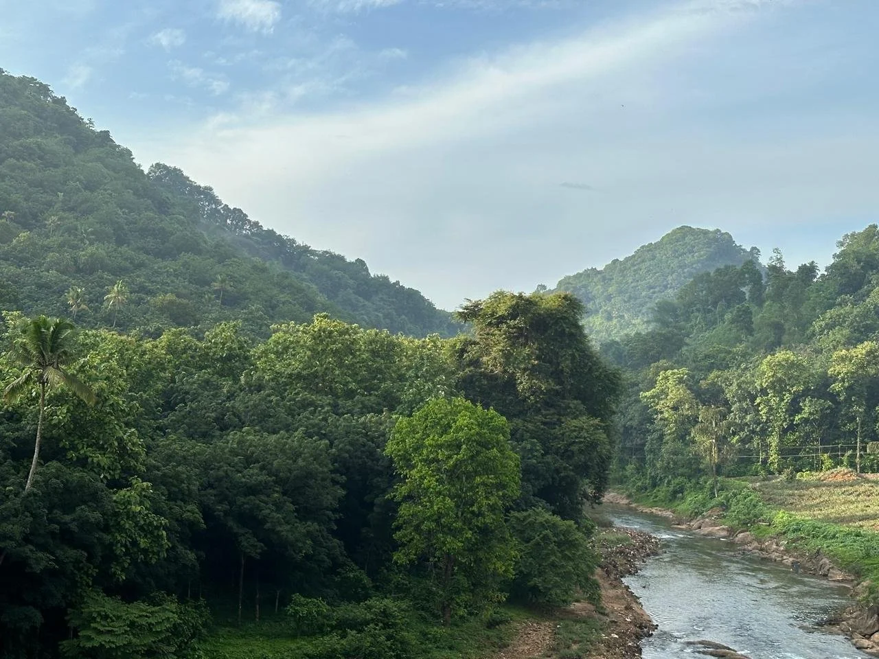 Lush green rainforest with a river flowing through it, several trees and hills in the background under a partly cloudy sky.
