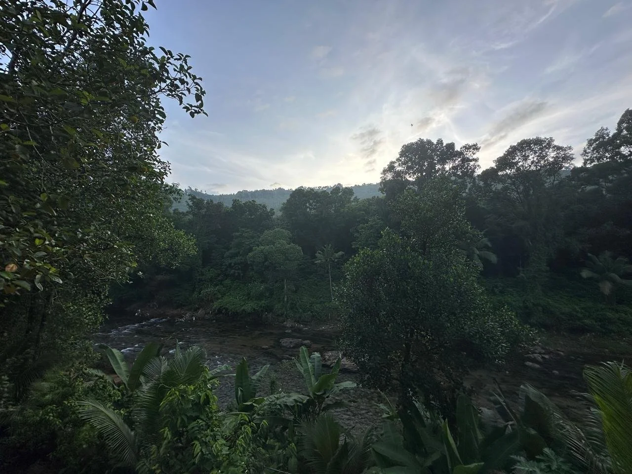 A lush, green forested landscape with trees and a river flowing through the foreground, under a partly cloudy sky.