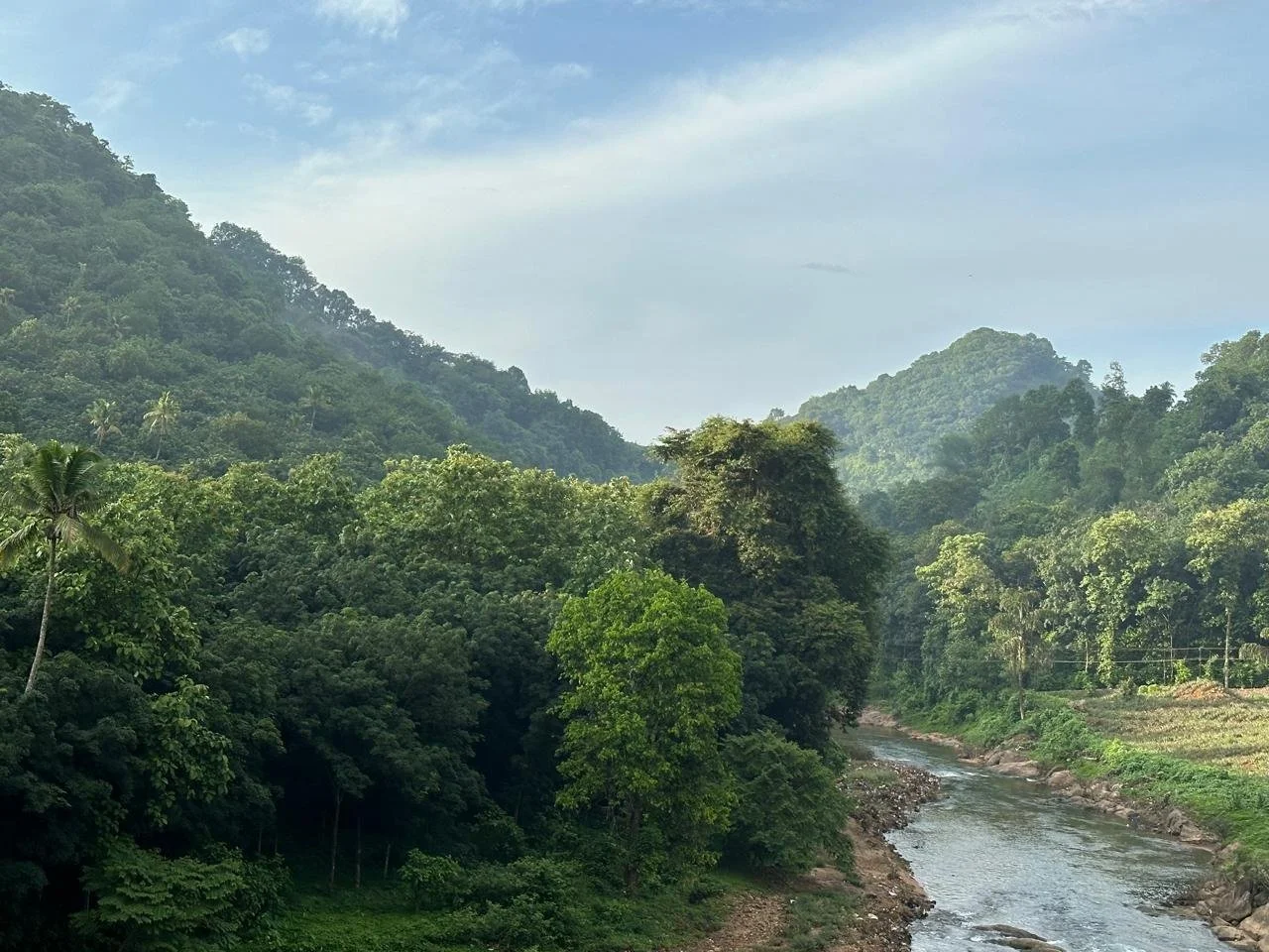 Lush green tropical rainforest with a river flowing through it, surrounded by hills under a partly cloudy sky.