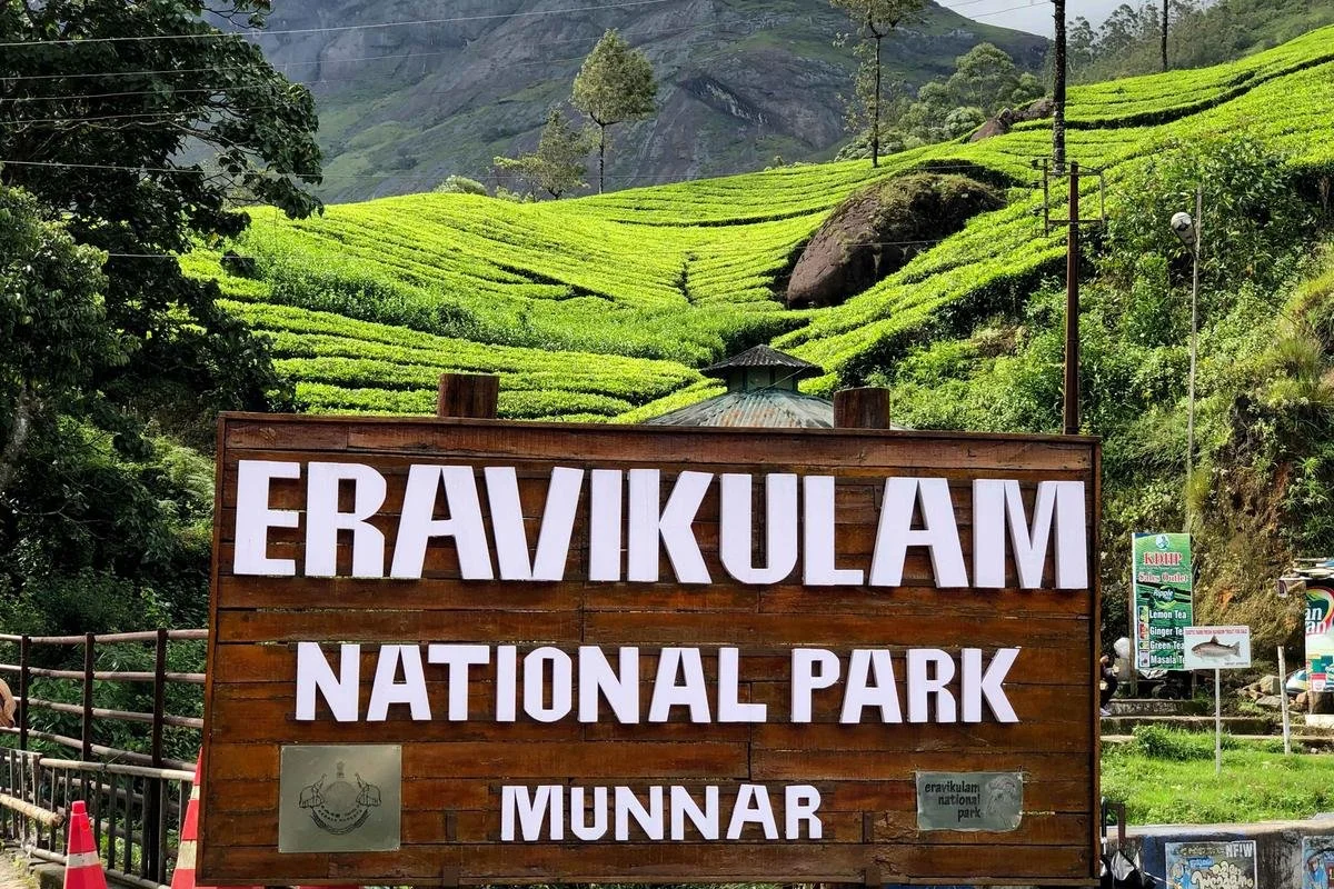 Signboard for Eravikulam National Park in Munnar, with lush green hills and tea plantations in the background.