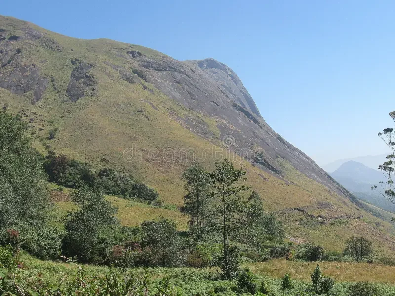 A large hillside with sparse vegetation and a few trees, under a clear blue sky.
