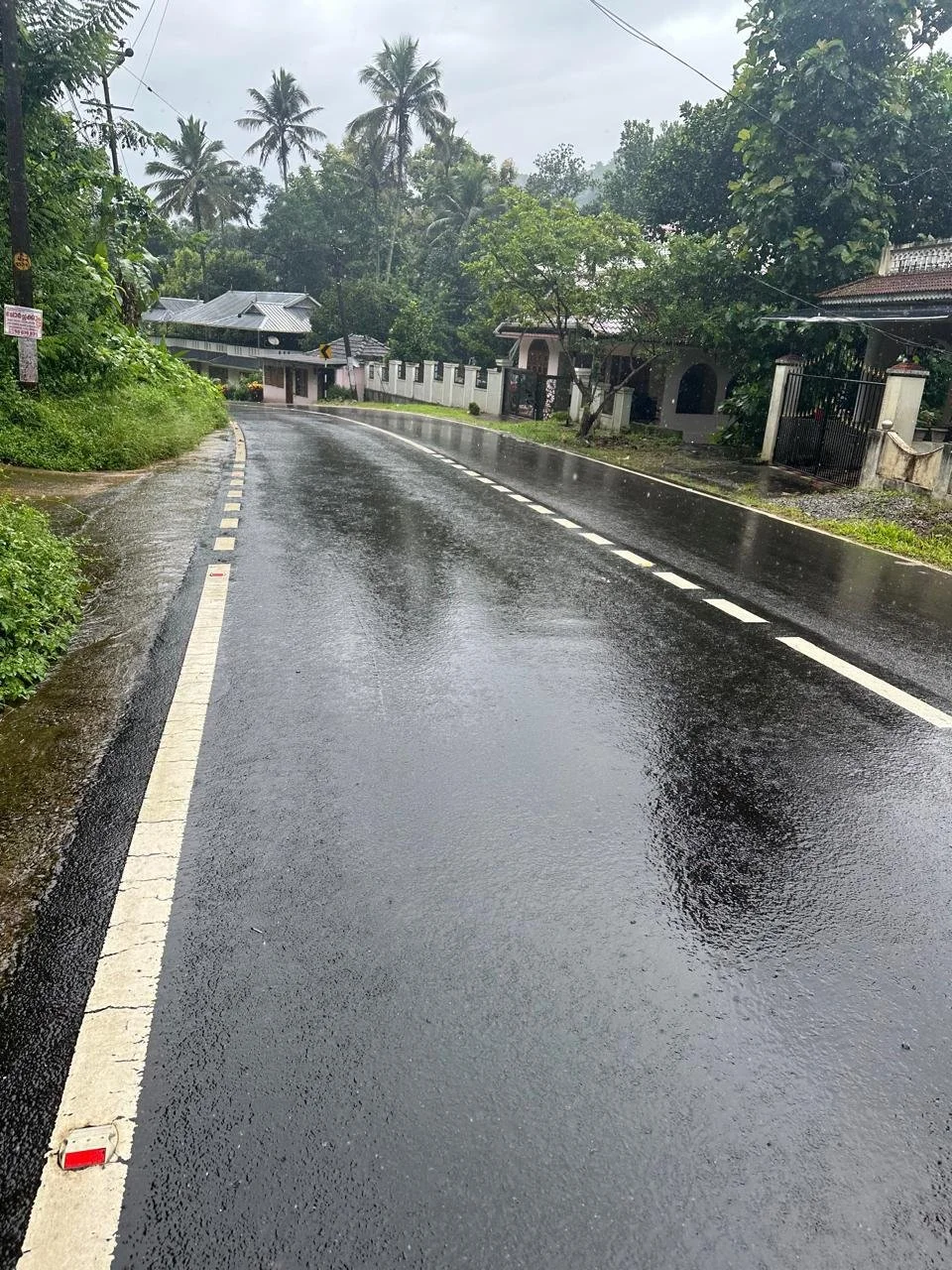 A wet, winding road in a rural area with houses and lush green trees, including palm trees, with overcast sky.