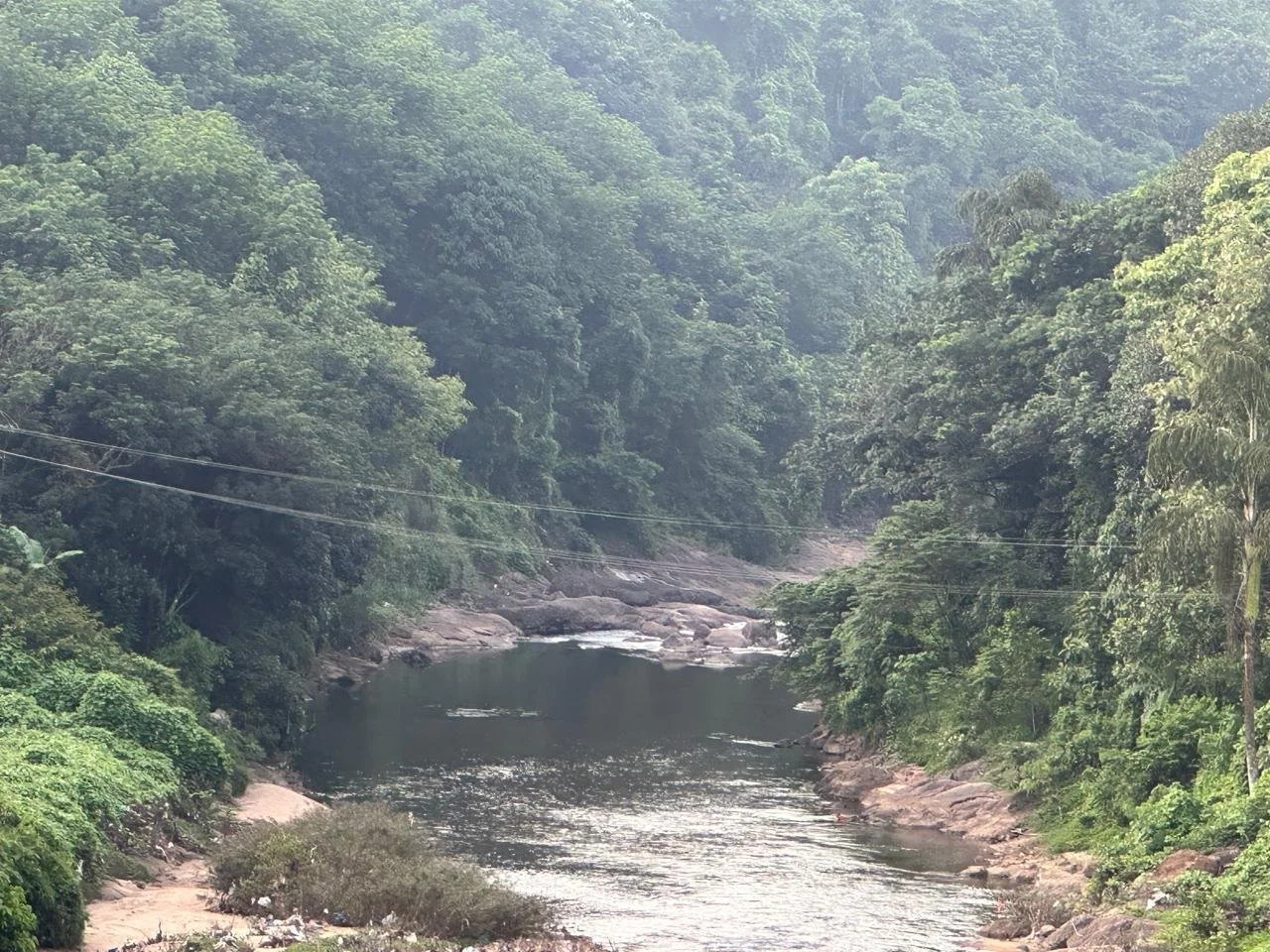 A river flowing through a dense green forest with trees on both sides and rocky banks.